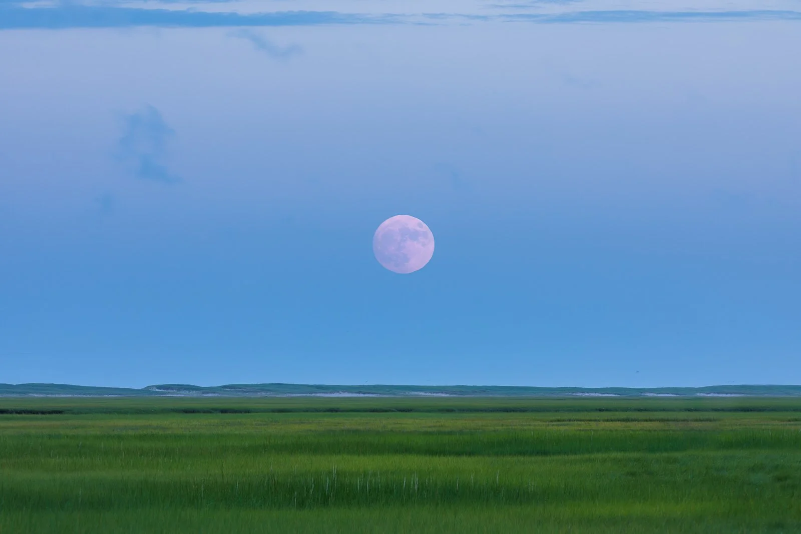 Sangram	Kachwaha-	Eastham Moonrise,	$350