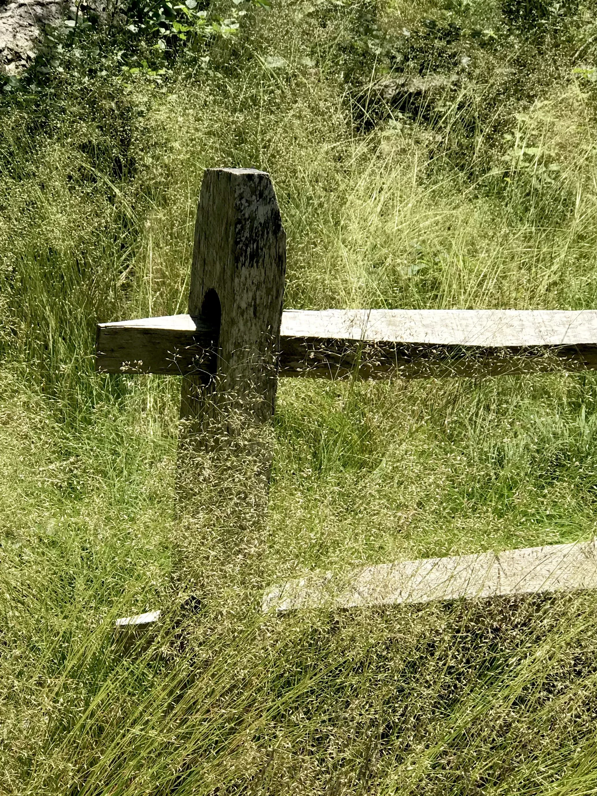 Joanne	Twombly-	Interplay,	$60