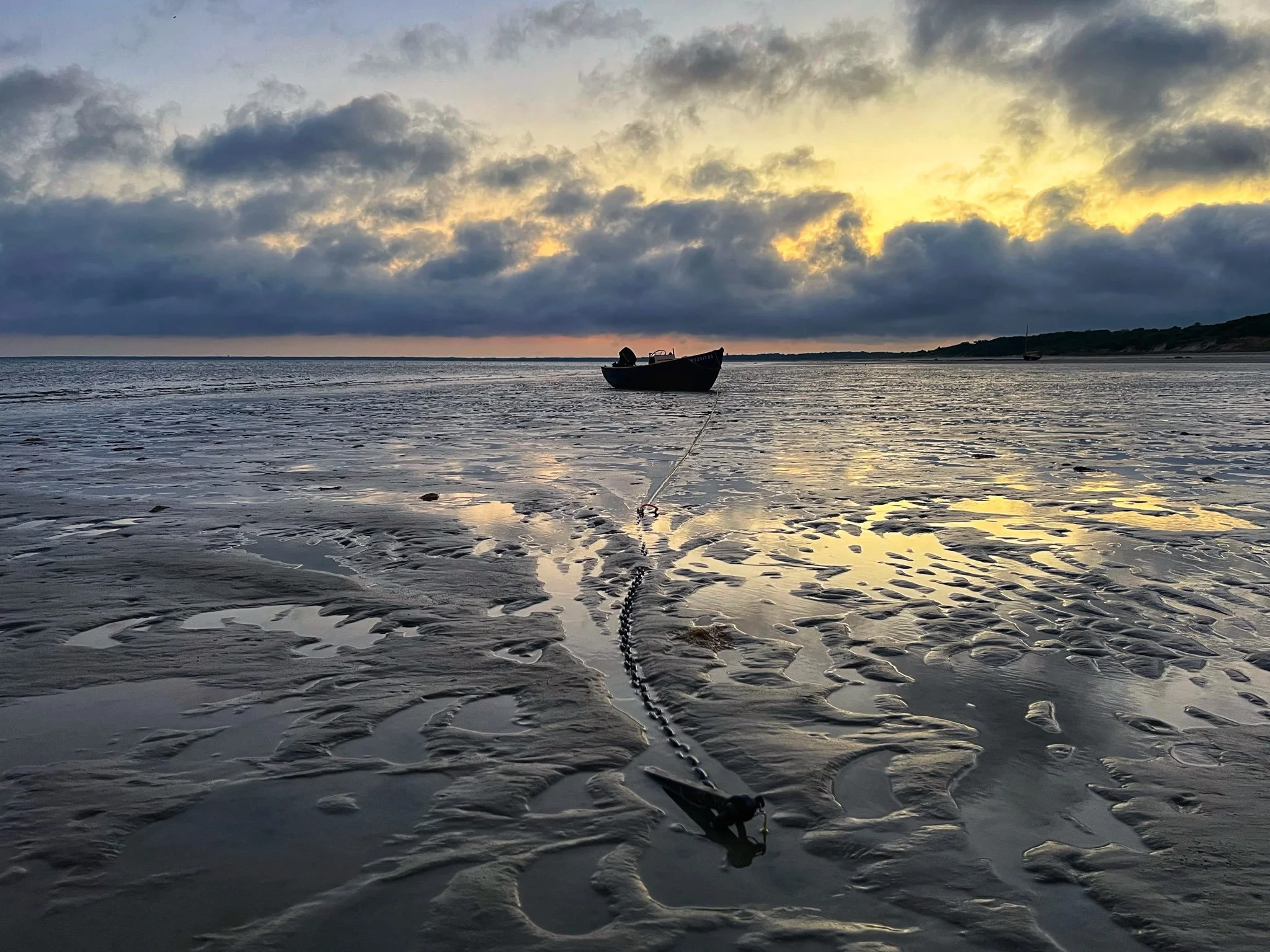 Laurie	Pallas-	Golden Sunrise on the Flats	$50