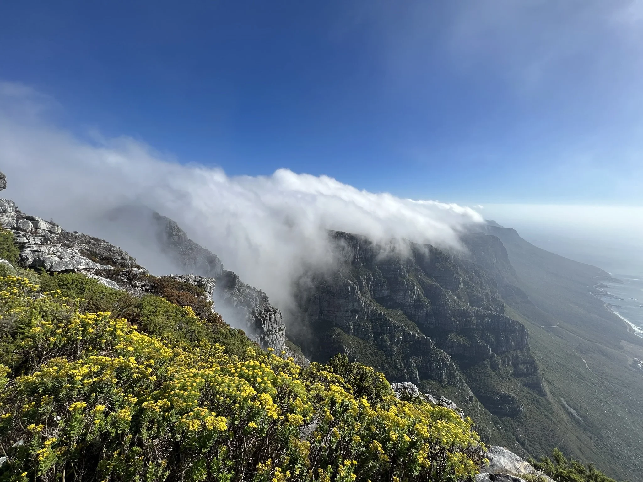 Betsy	Bray-	Table Mountain	$100