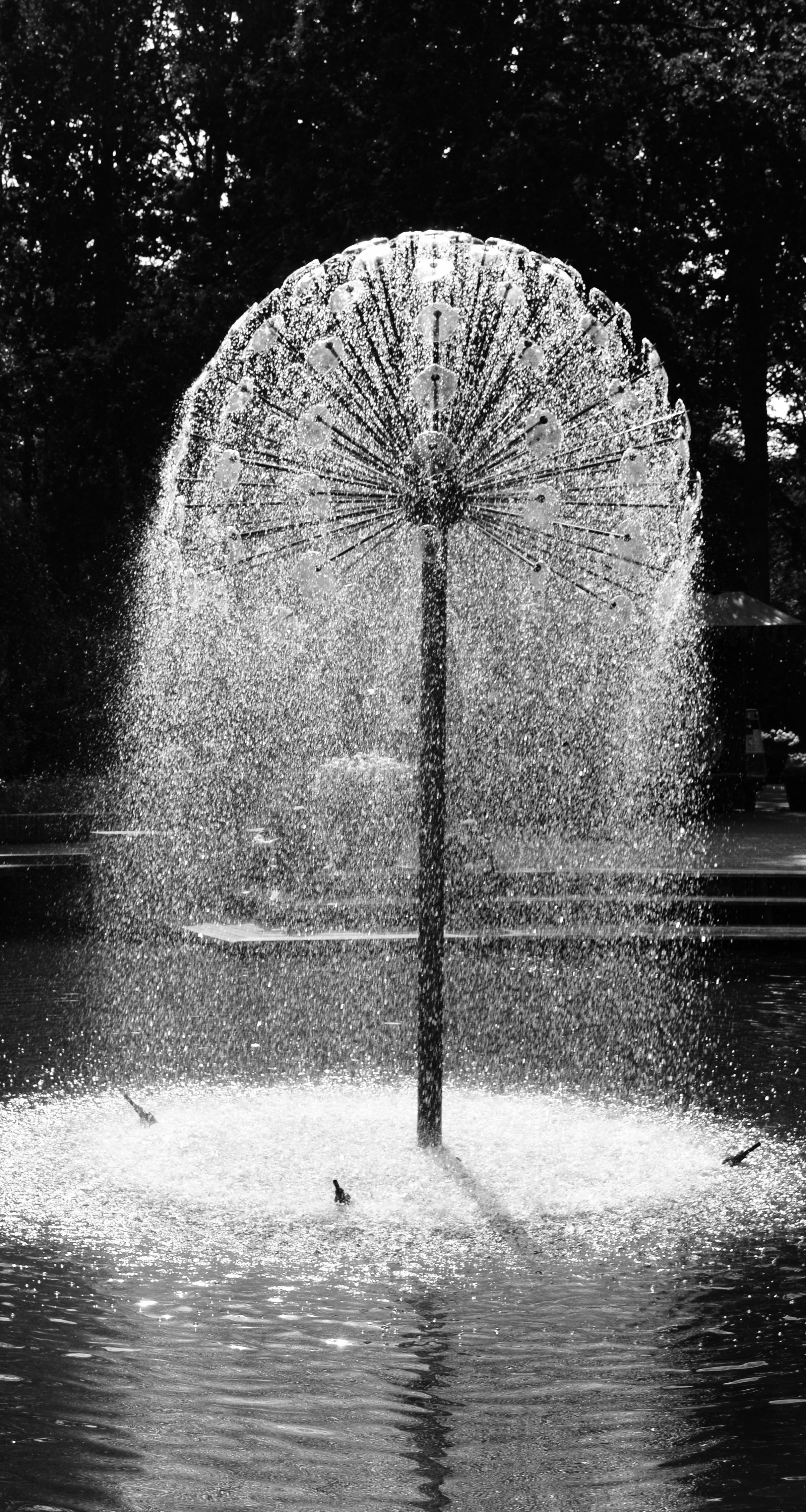 Eduardo	Marti-	The Fountain	$100