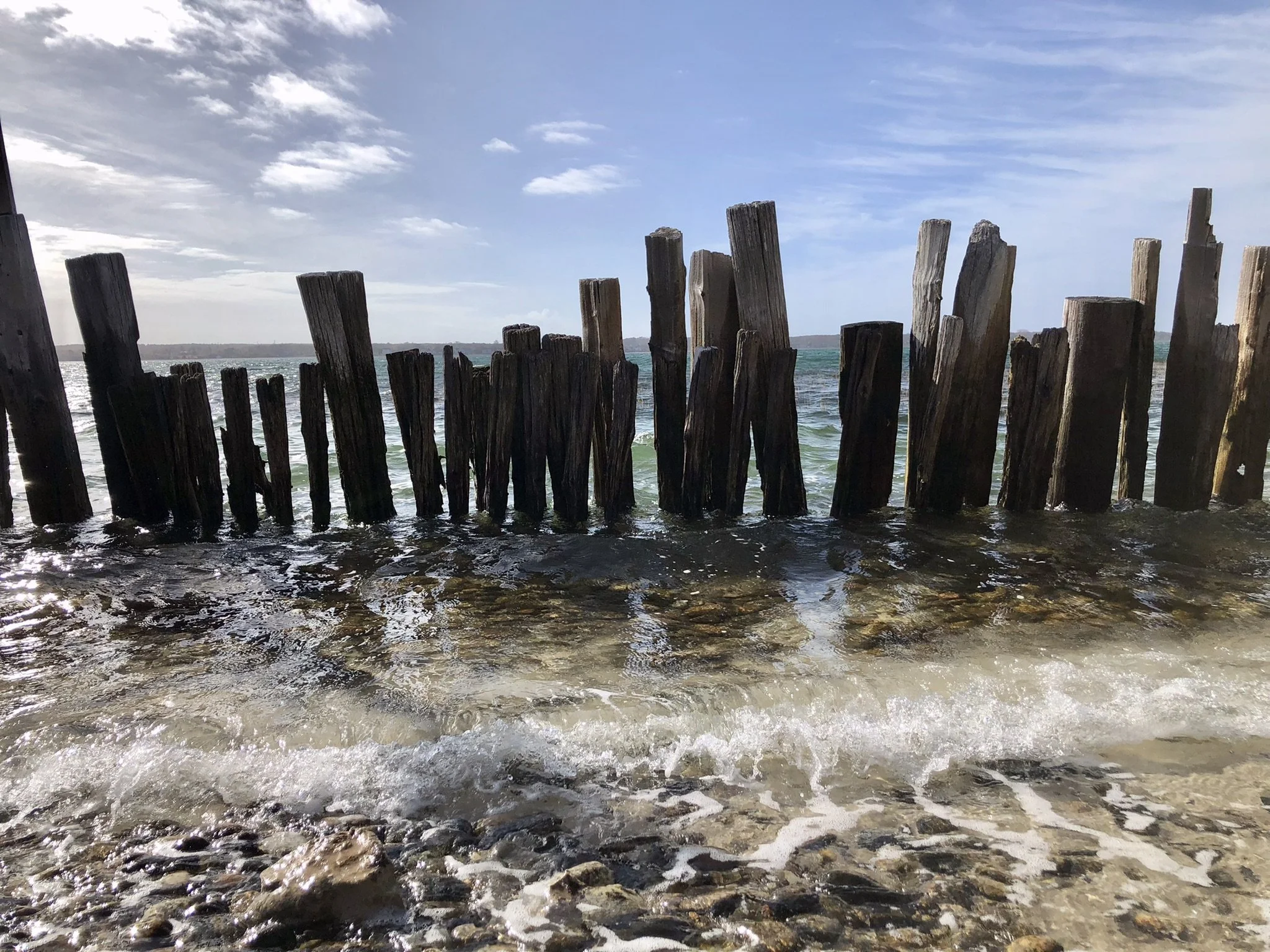 Amy	MacEachern-	Against The Tide	$195