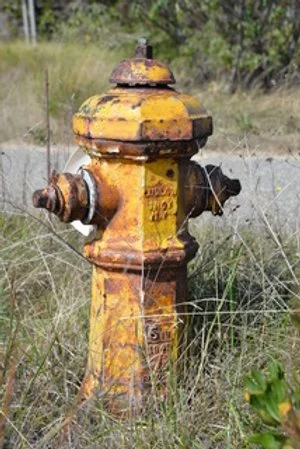 Howard	 Stein-	Payomet	$175