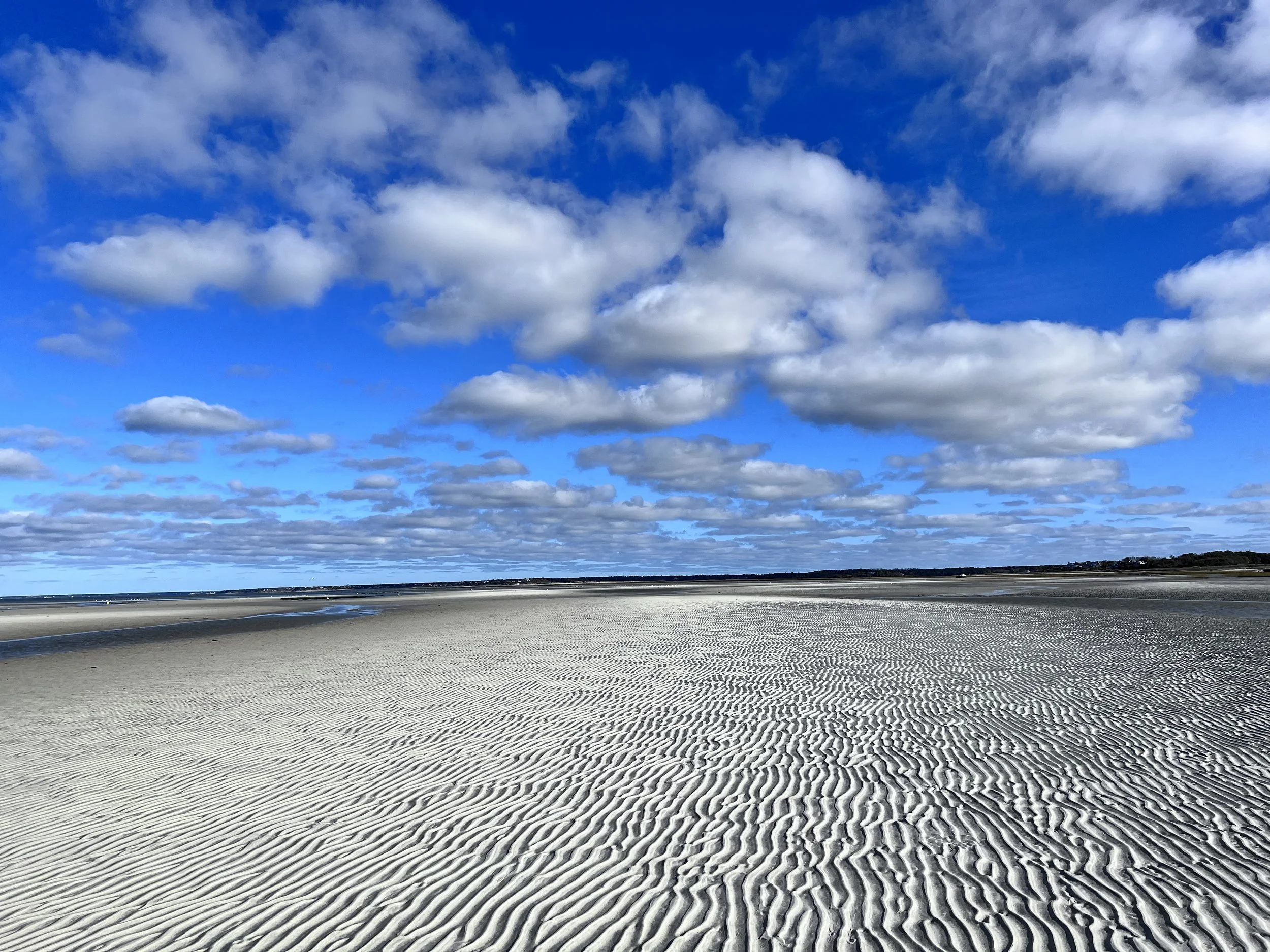 Debbie	Pearl-	Forever Flats	$60