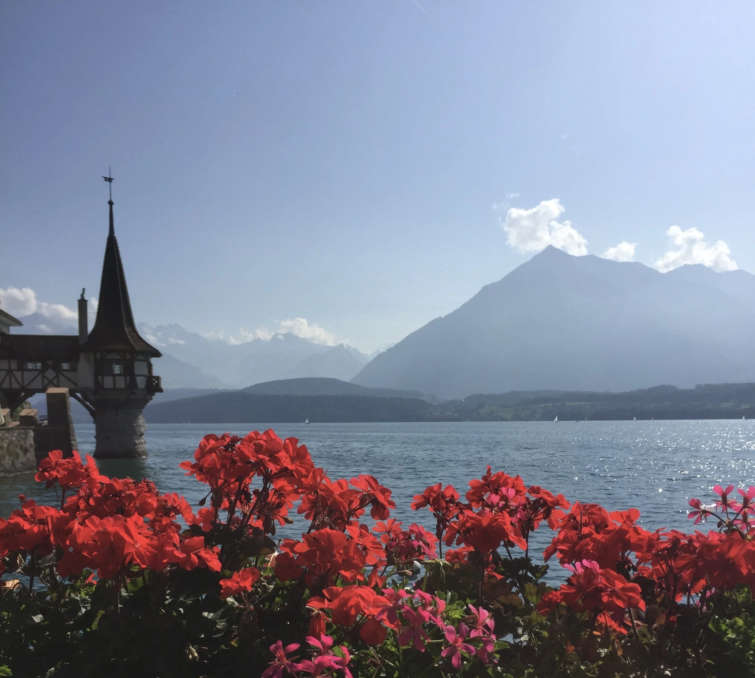 Janet	Kelliher	- Serenity at Lake Thun	$120