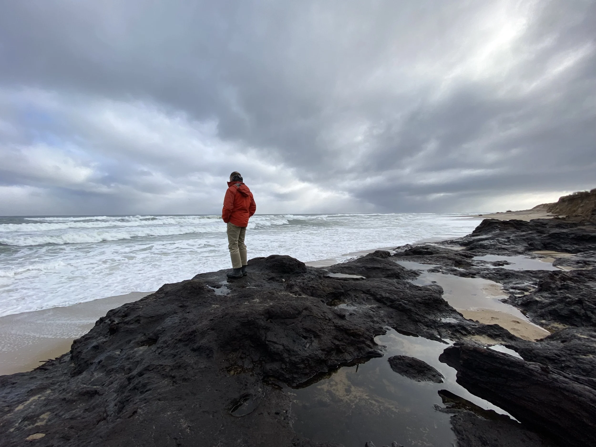 Annie	Winslow-	Old Souls	$225