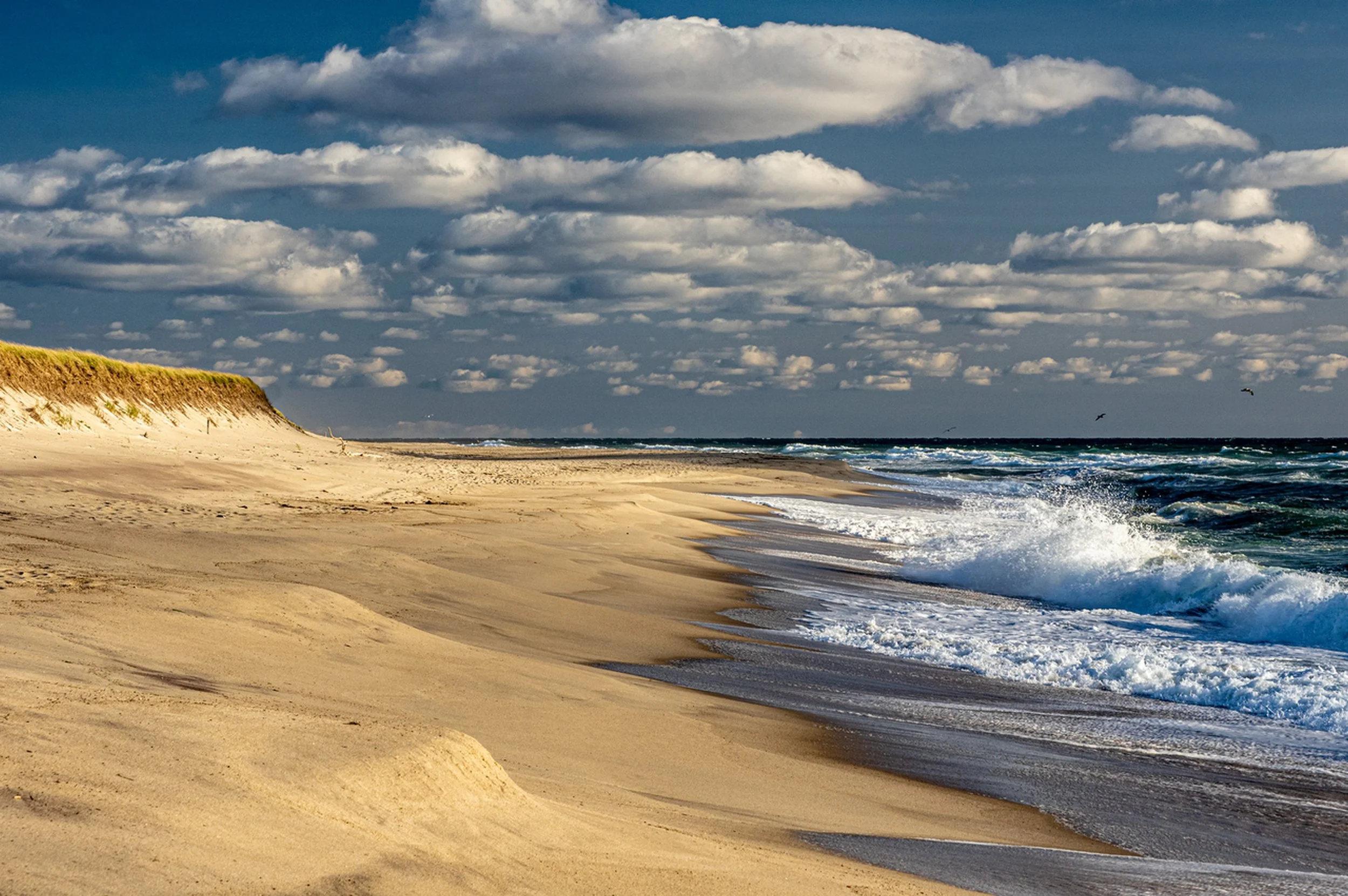 Peter	Blatz-	Outer Beach	$250