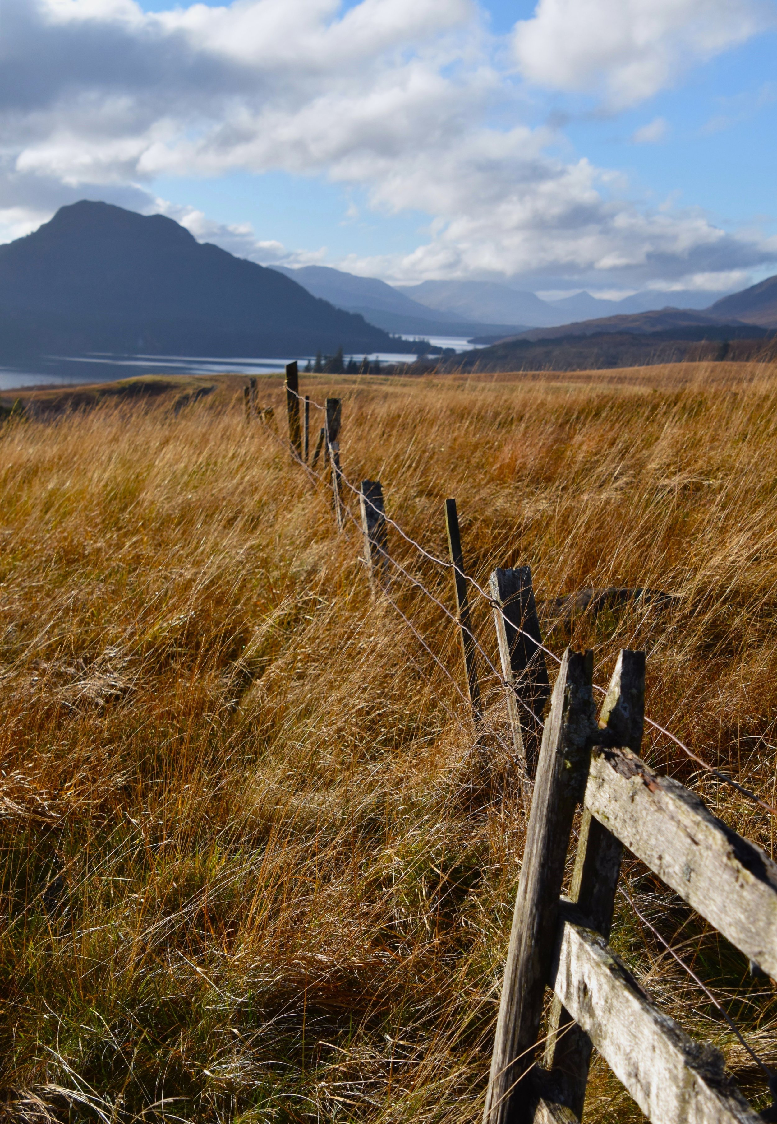 Cathie	Doddridge-	The Wilds of Scotland	$250