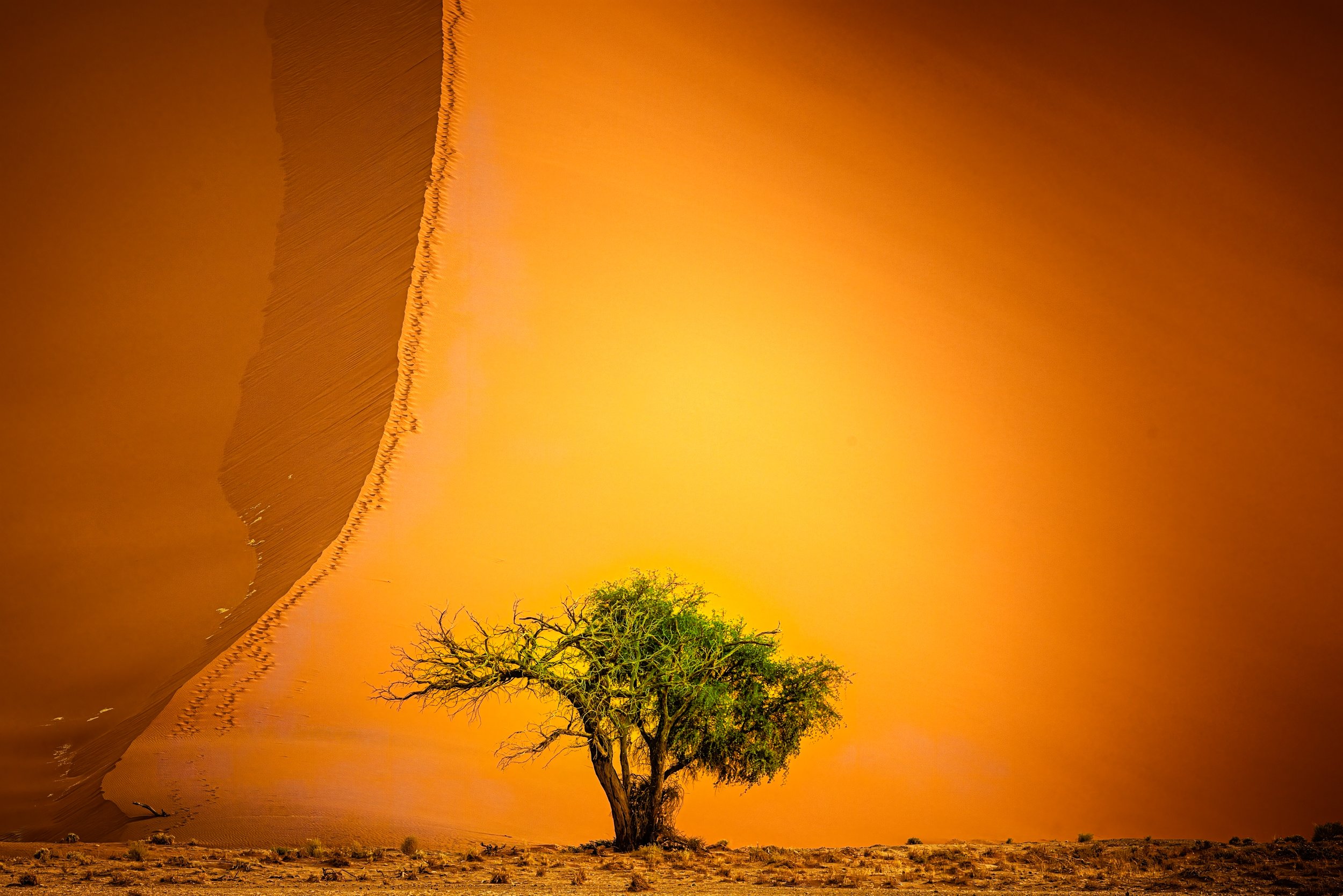 3rd Place  - Elizabeth G Brooke- Big dune, Sossusvlei, Namibia