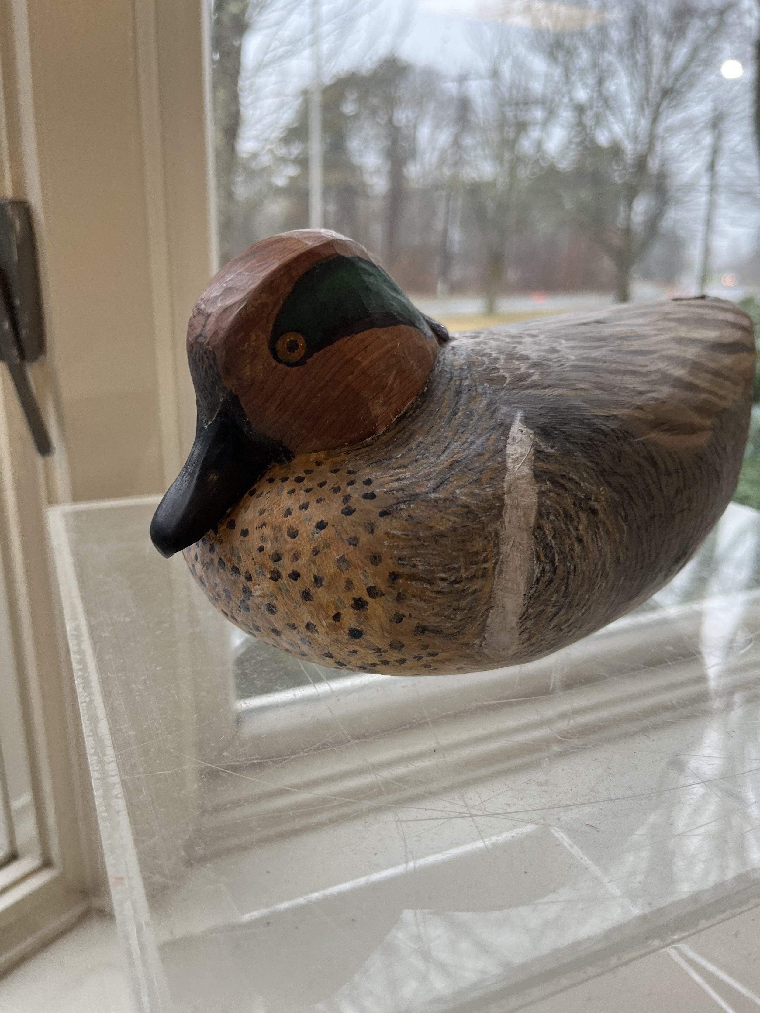 Carl	Ahlstrom-	Green Winged Teal,	Red Cedar	 $NFS 