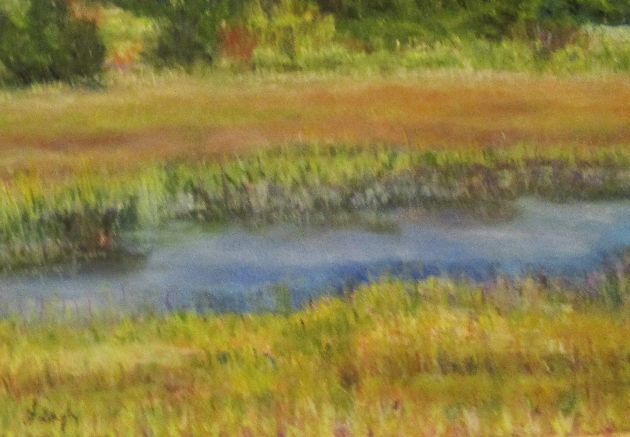 Dianne	Quigley-	S. Chatham Tidal Pool,	Pastel	 $110 