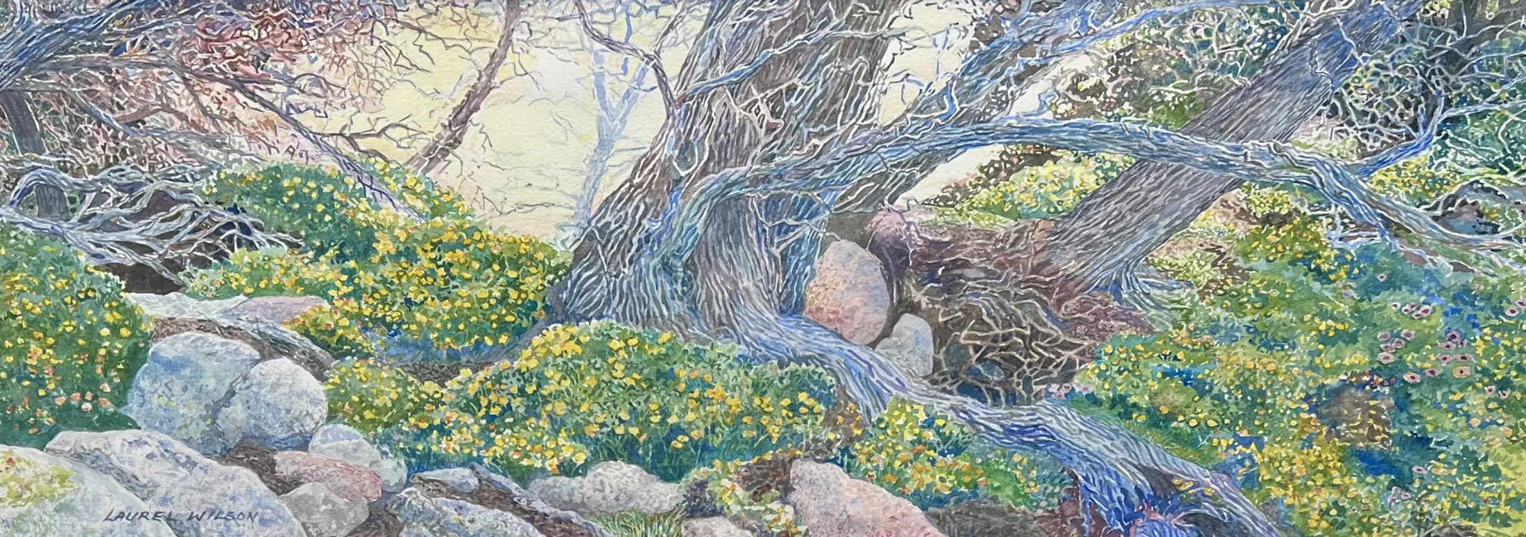 Laurel	Wilson-	Coastal Woodland	, Watercolor	 $800 