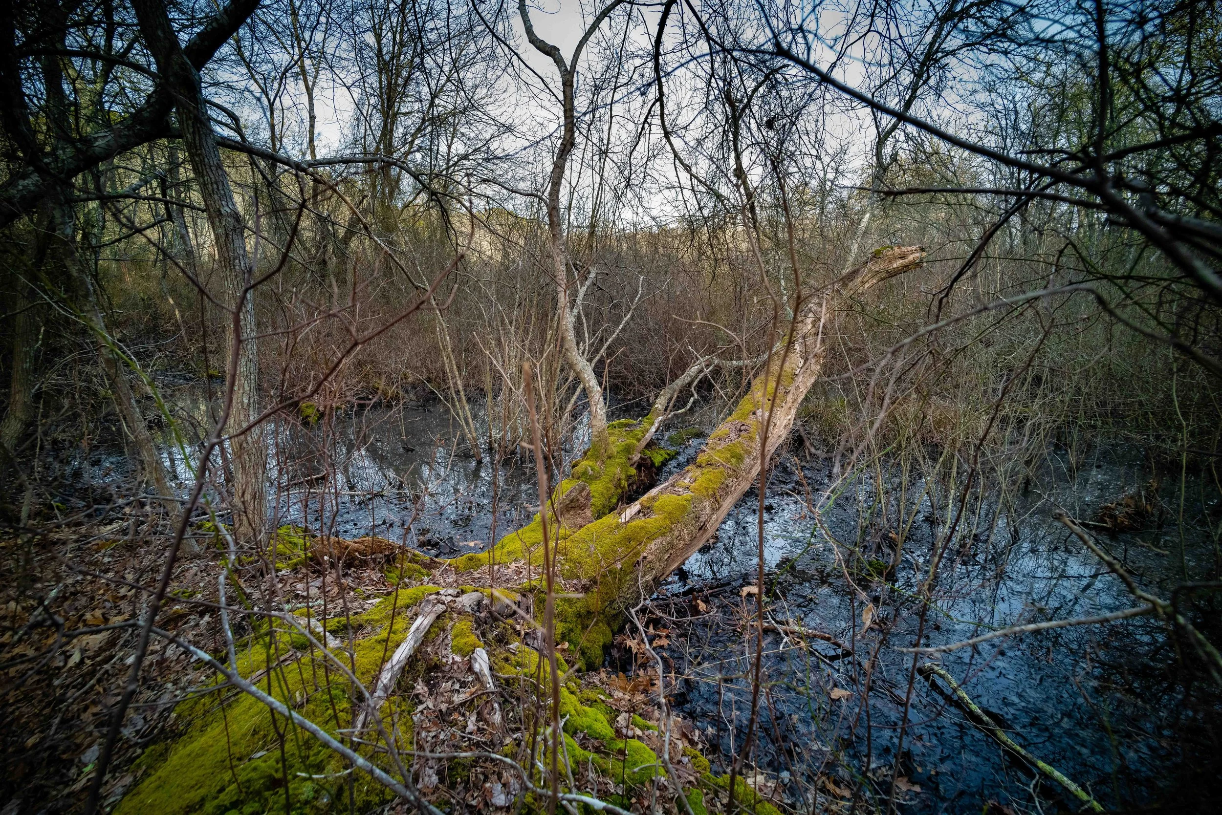 L1000070-3.jpg