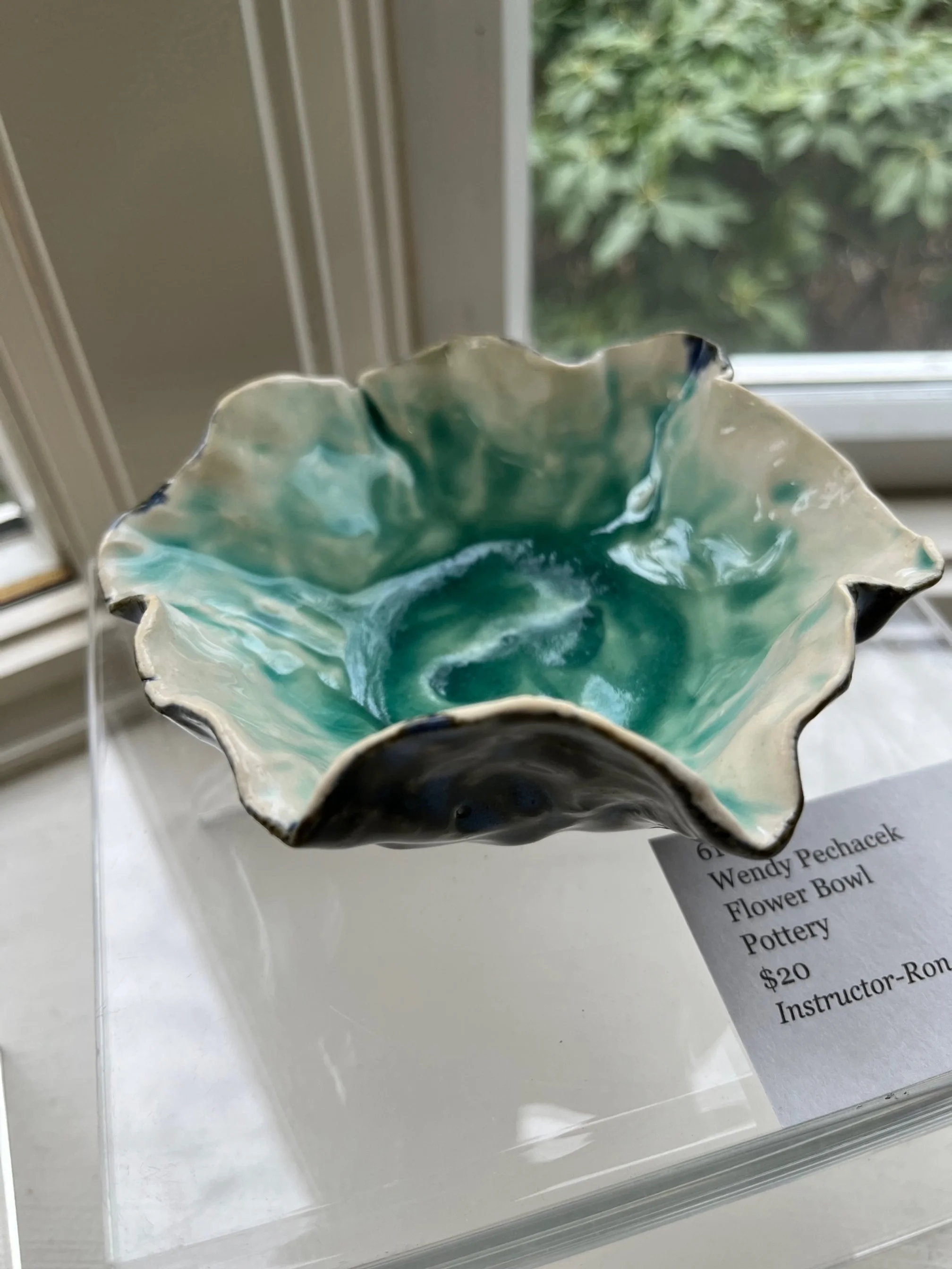 Wendy	Pechacek	Flower Bowl	Pottery	$20	Instructor	Ron Dean