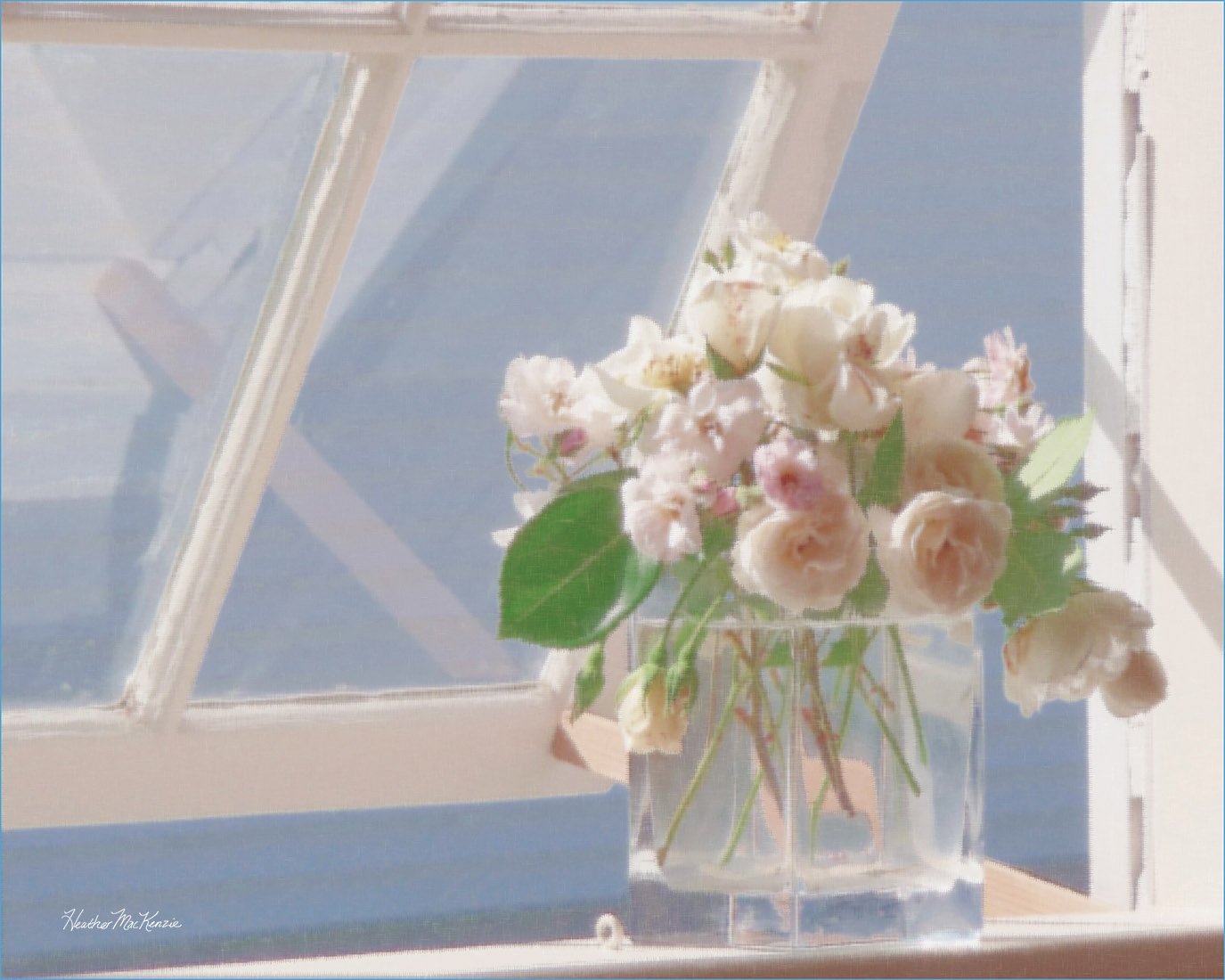 Heather	MacKenzie-	Roses in Window,	Photography	$895