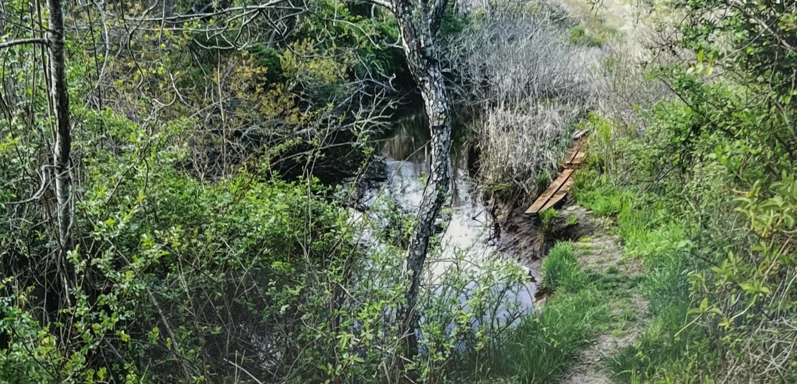 Lew	Schwartz	-High Toss Culvert,	Photography	$250