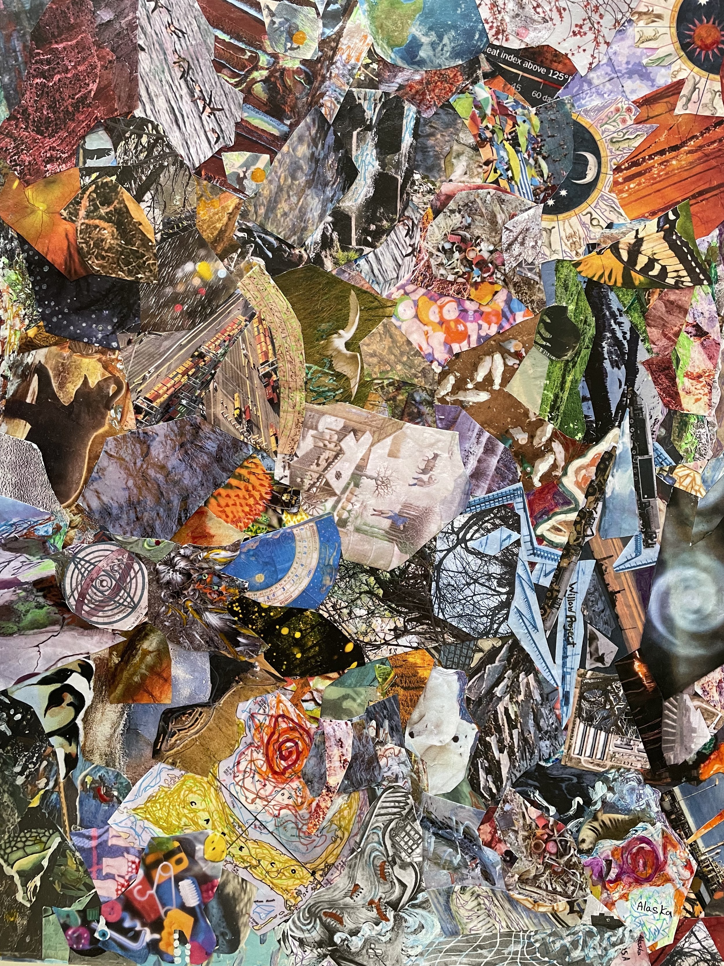 Susan	Patterson	-Plundering the Planet for Petroleum: Unforseen Fallout	Collage/Painting	$2,000