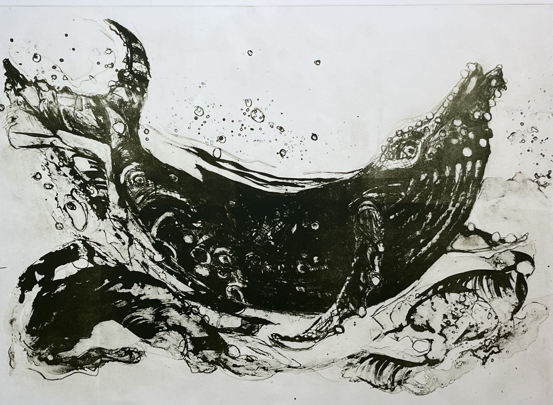Nancy	Nicol-	Right Whale,	Lithograph	$425