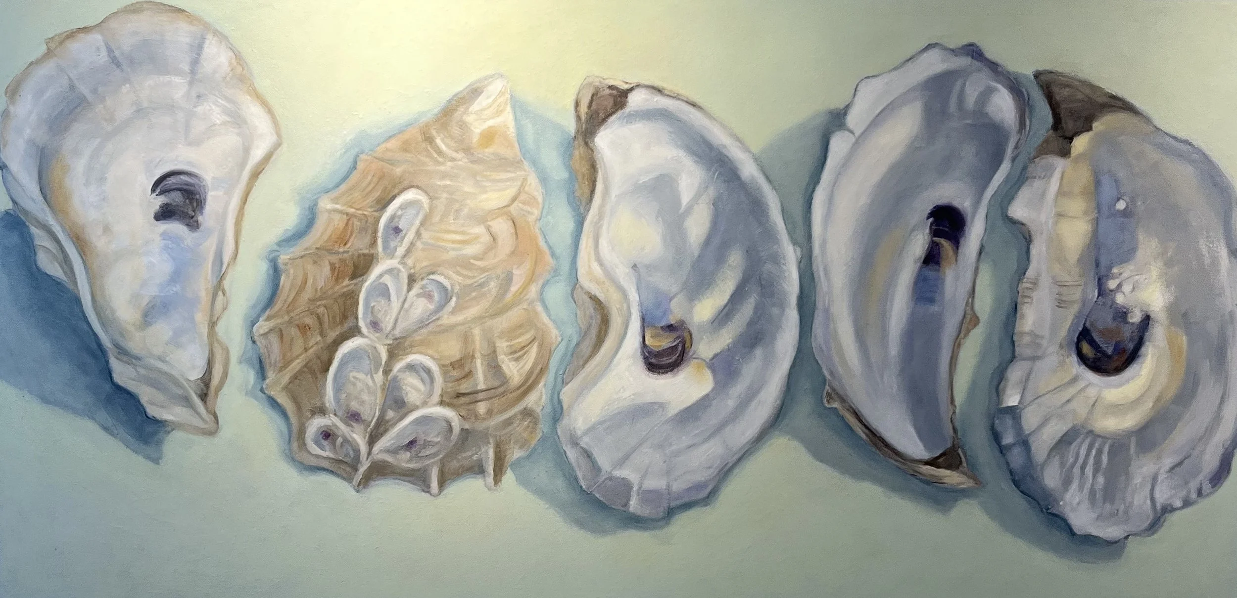Nancy	Nicol	-Five Oyster Shells,	Oil	$2,100