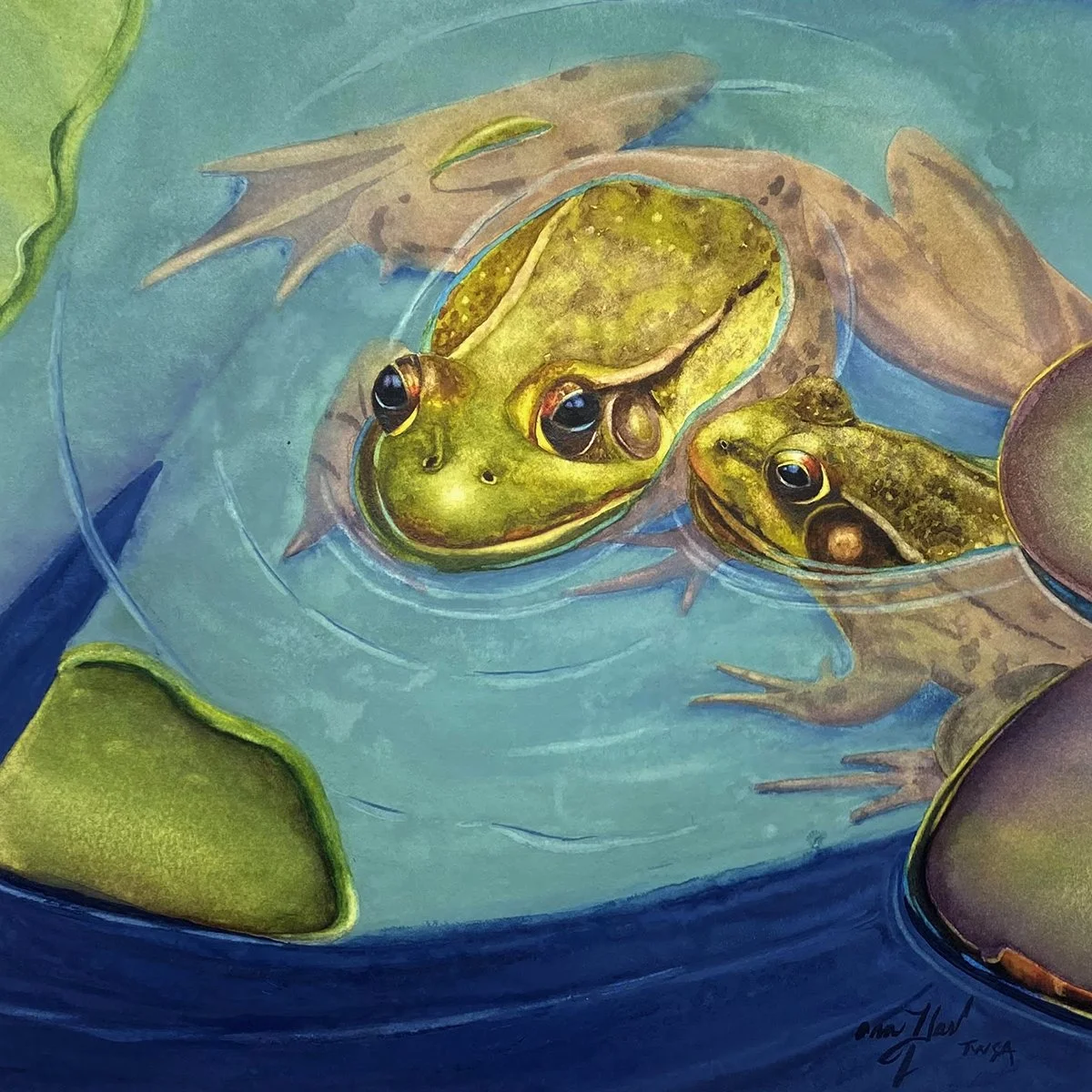 Ann	Hart-	Pond Pals,	Transparent Watercolor	$750 