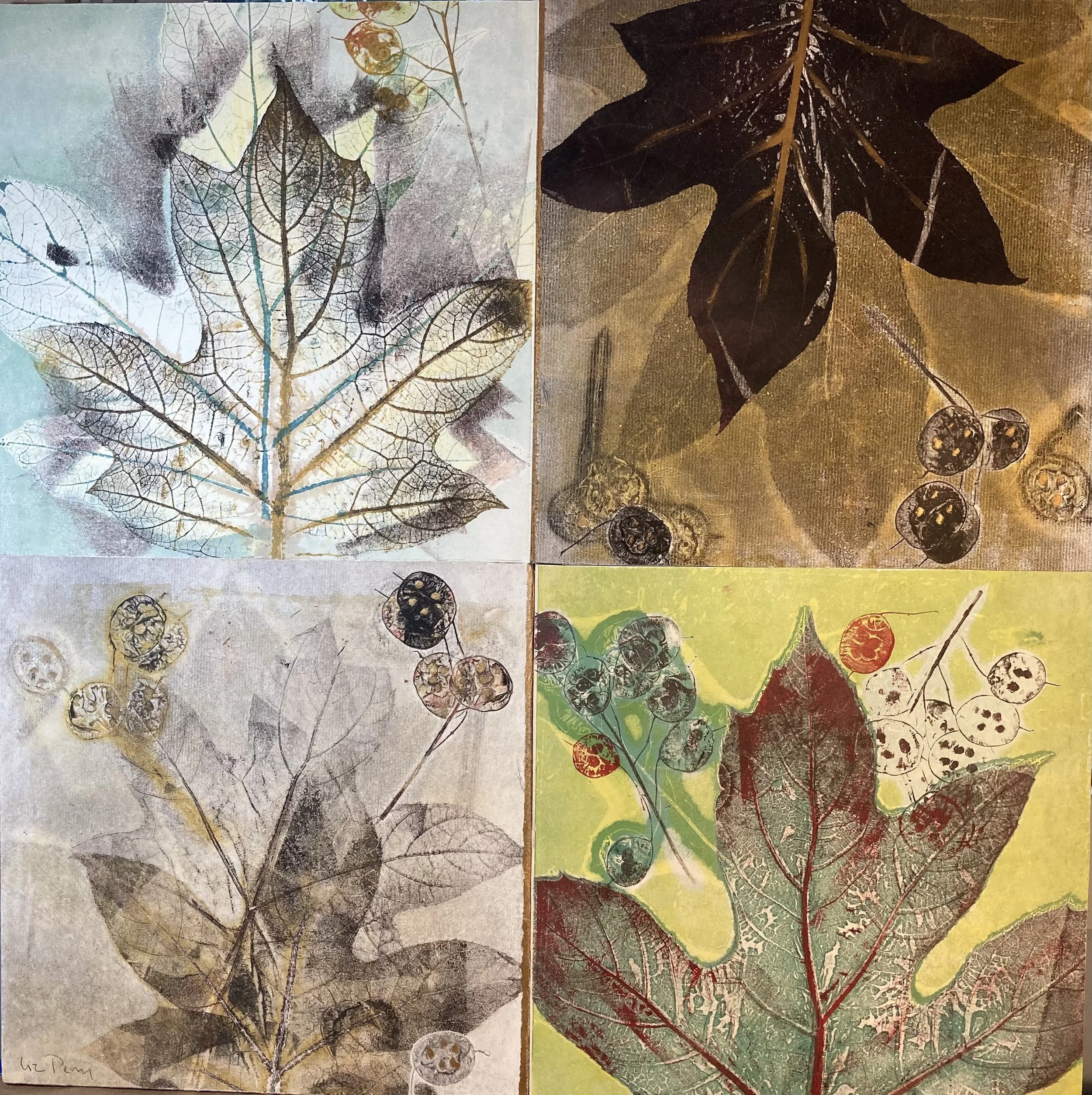 Liz	Perry	- 4variations,	Monoprint	$675 