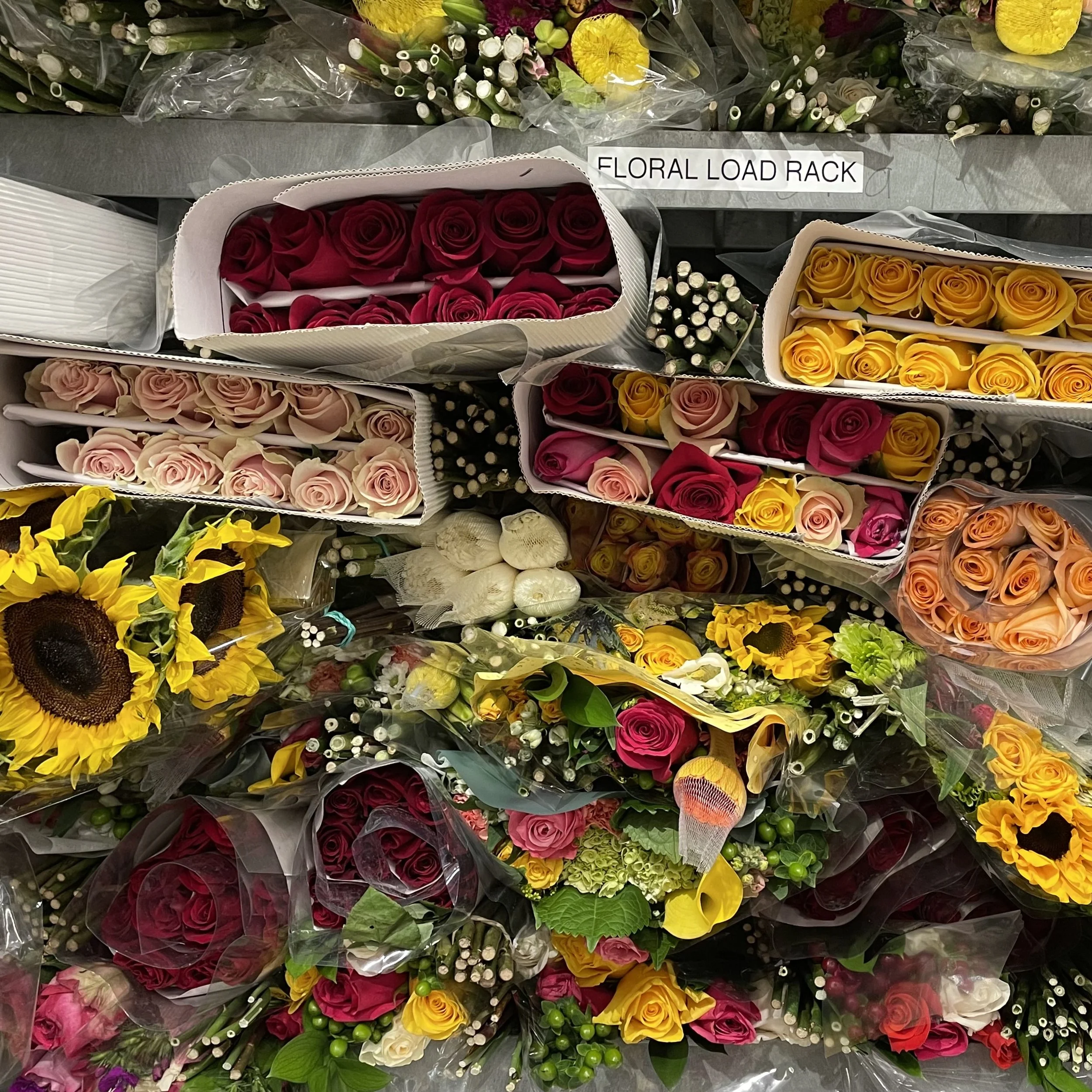 Susan	O'Connor-	Floral Load,	Photography	$100 