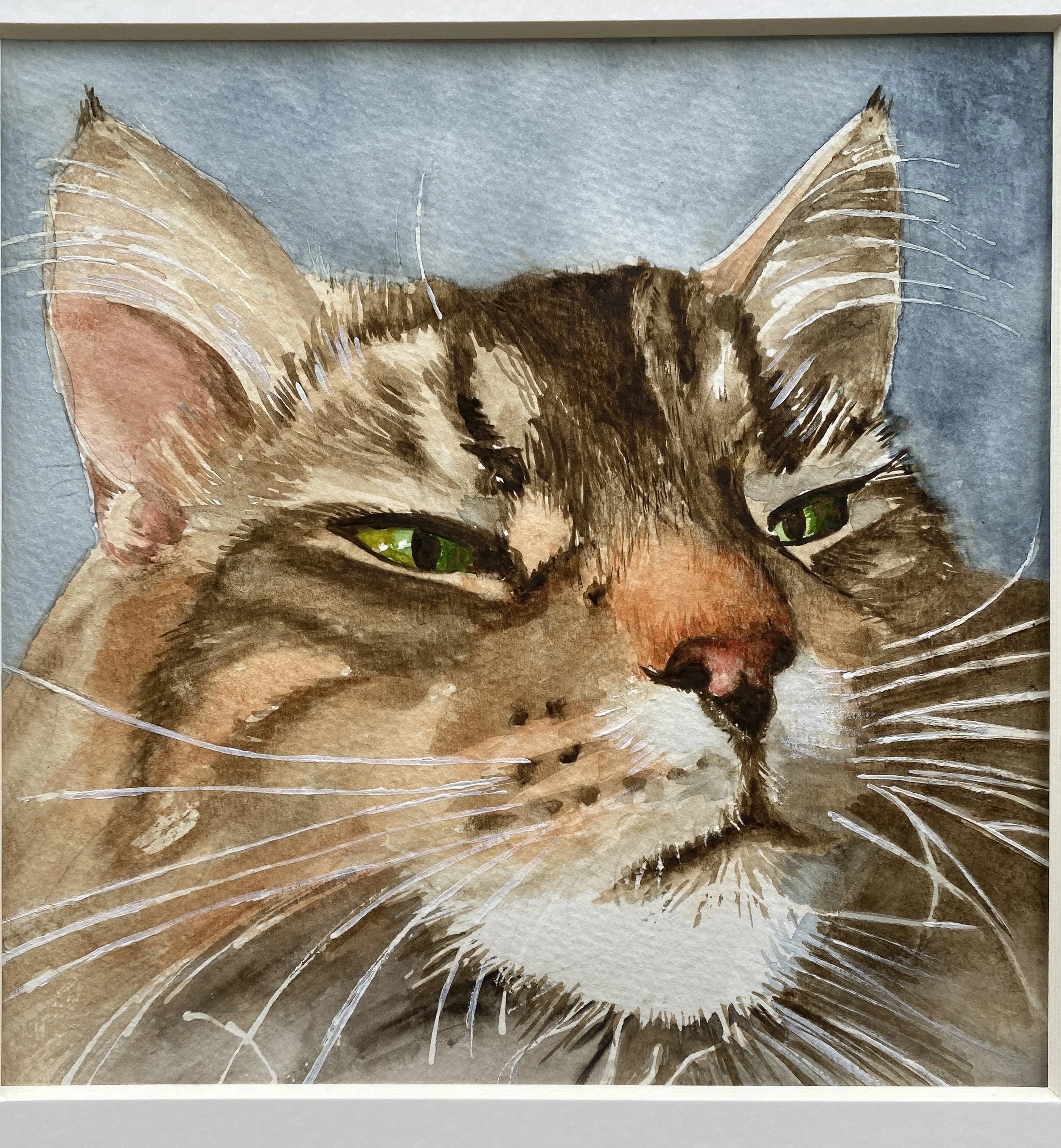 Karin	Tyndall	-Maine Coon Cool,	Watercolor	$650 