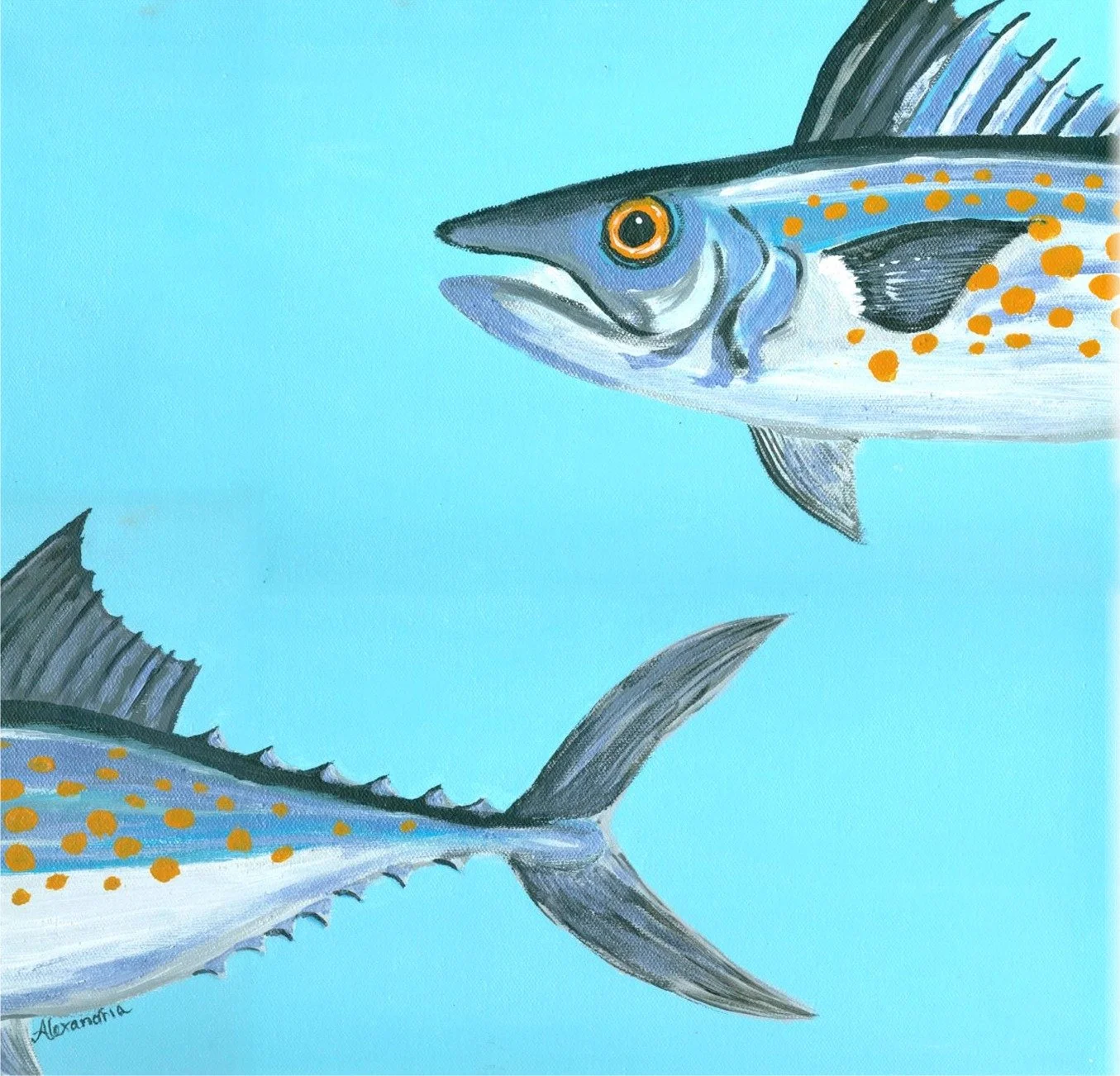 Alexandria	Boudreau-	Holy Mackeral,	Acrylic	$275 