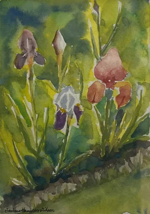 Barbara Hamilton Gibson- Spring Iris,	Watercolor	 $150 