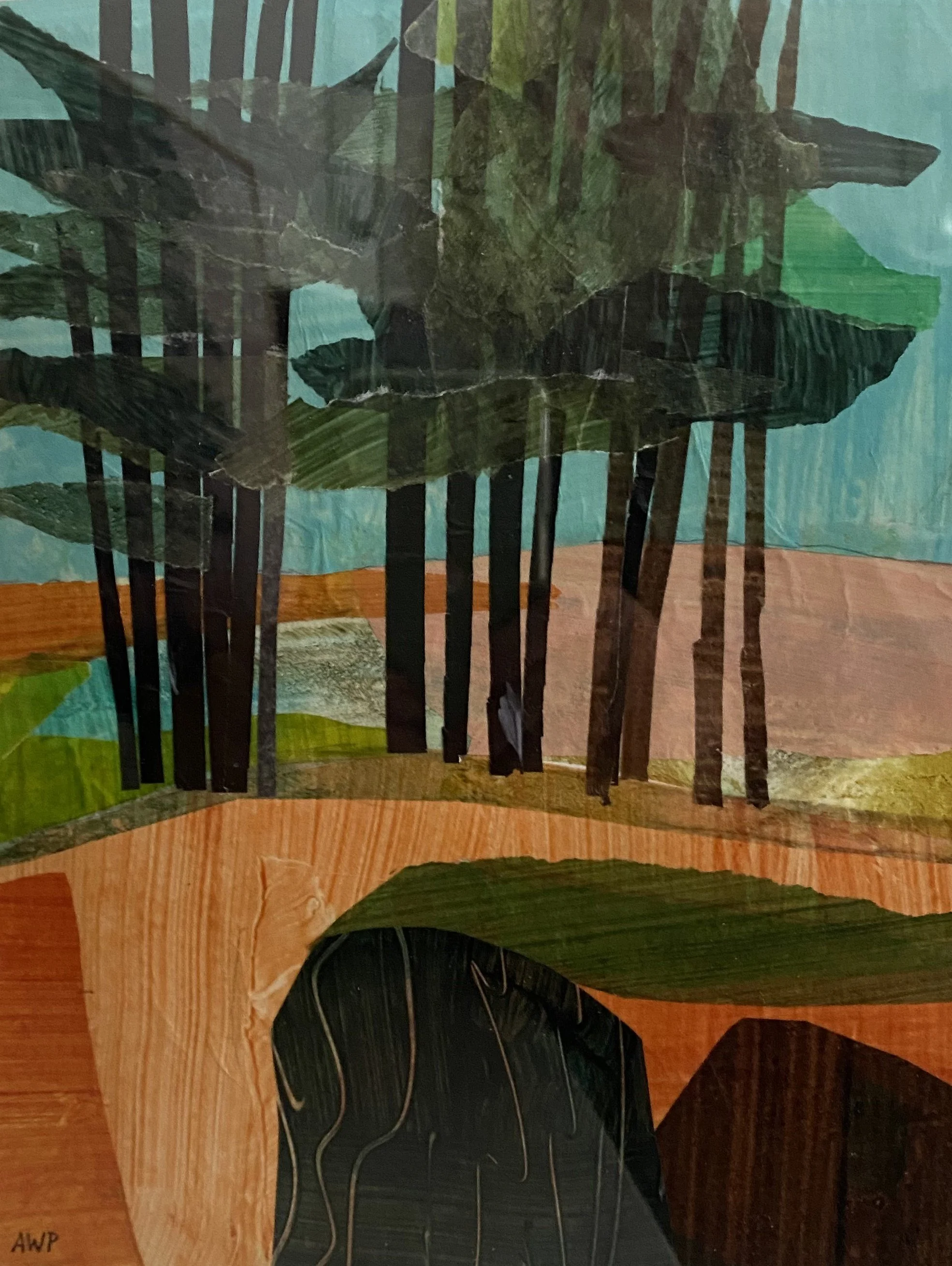 Honorable Mention- Anne Pouch- Storm King - Red Pine Grove	Mixed Media – collage