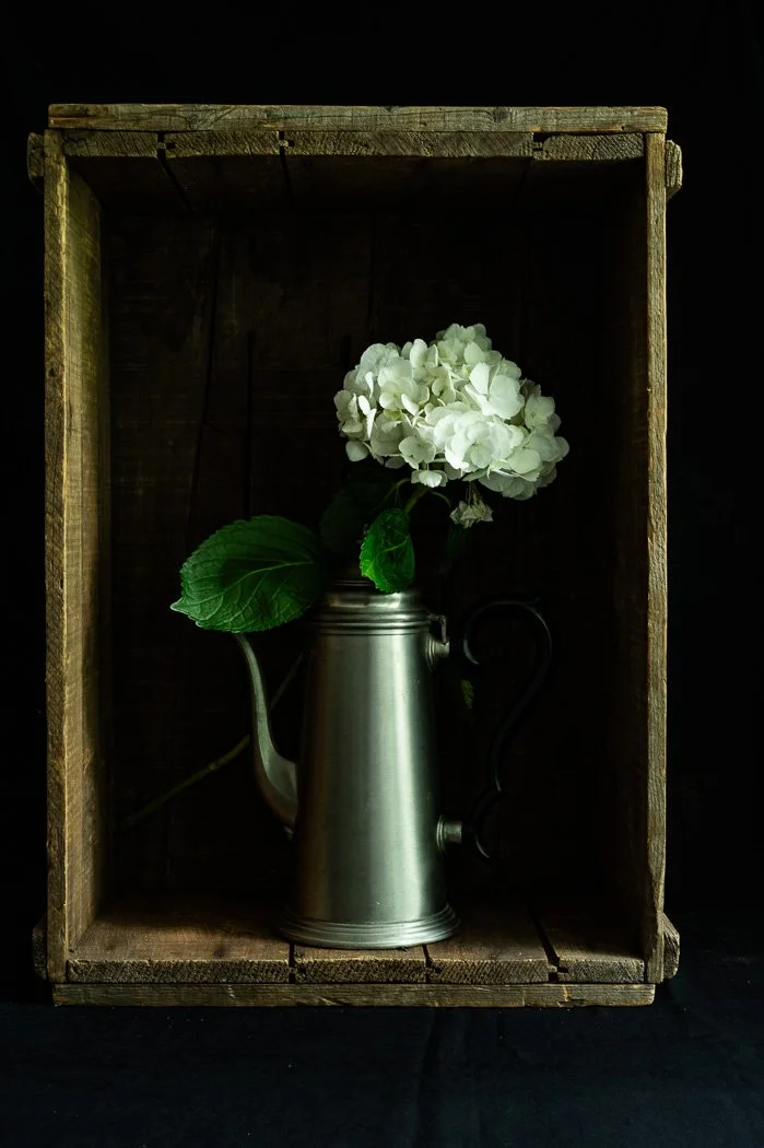 Honorable Mentions- Frances McDermott, Boxed Hydrangea