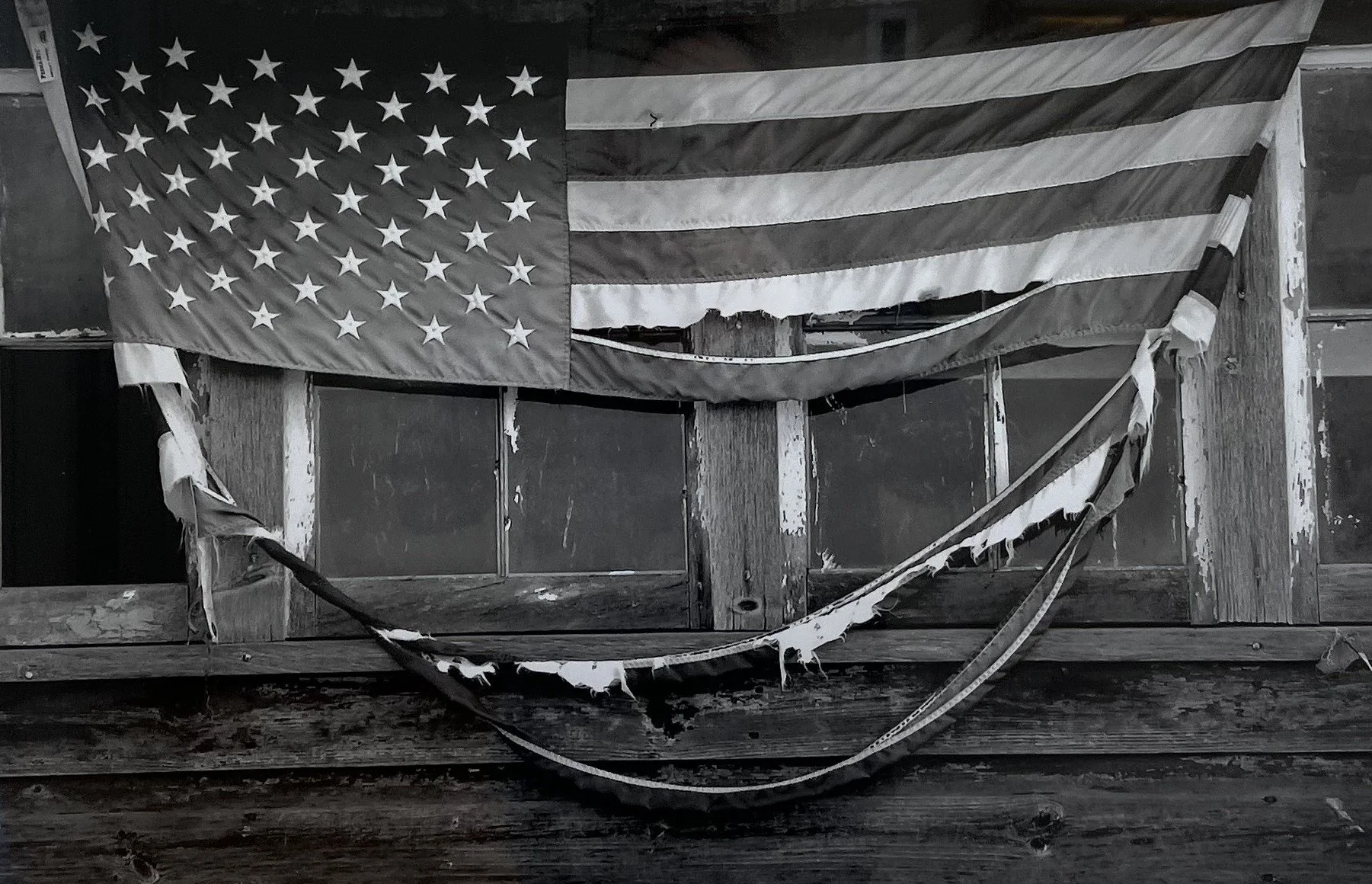 Honorable Mentions-Steven Omlor,	Tattered