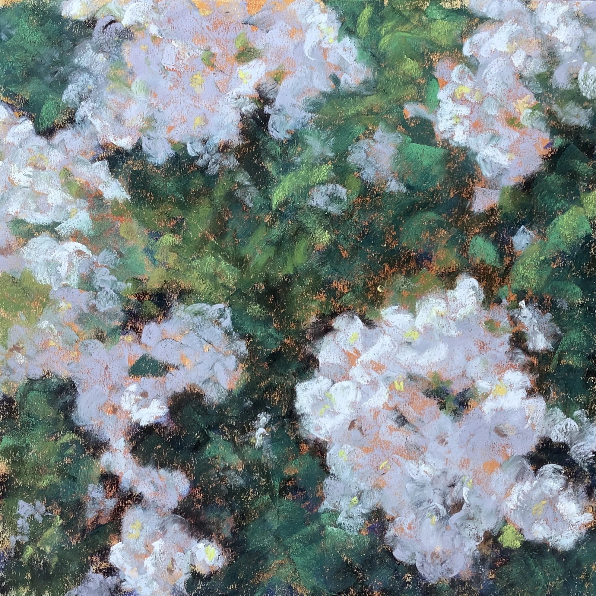 2nd Place- Paula Romano- Almost Gone, Pastel 