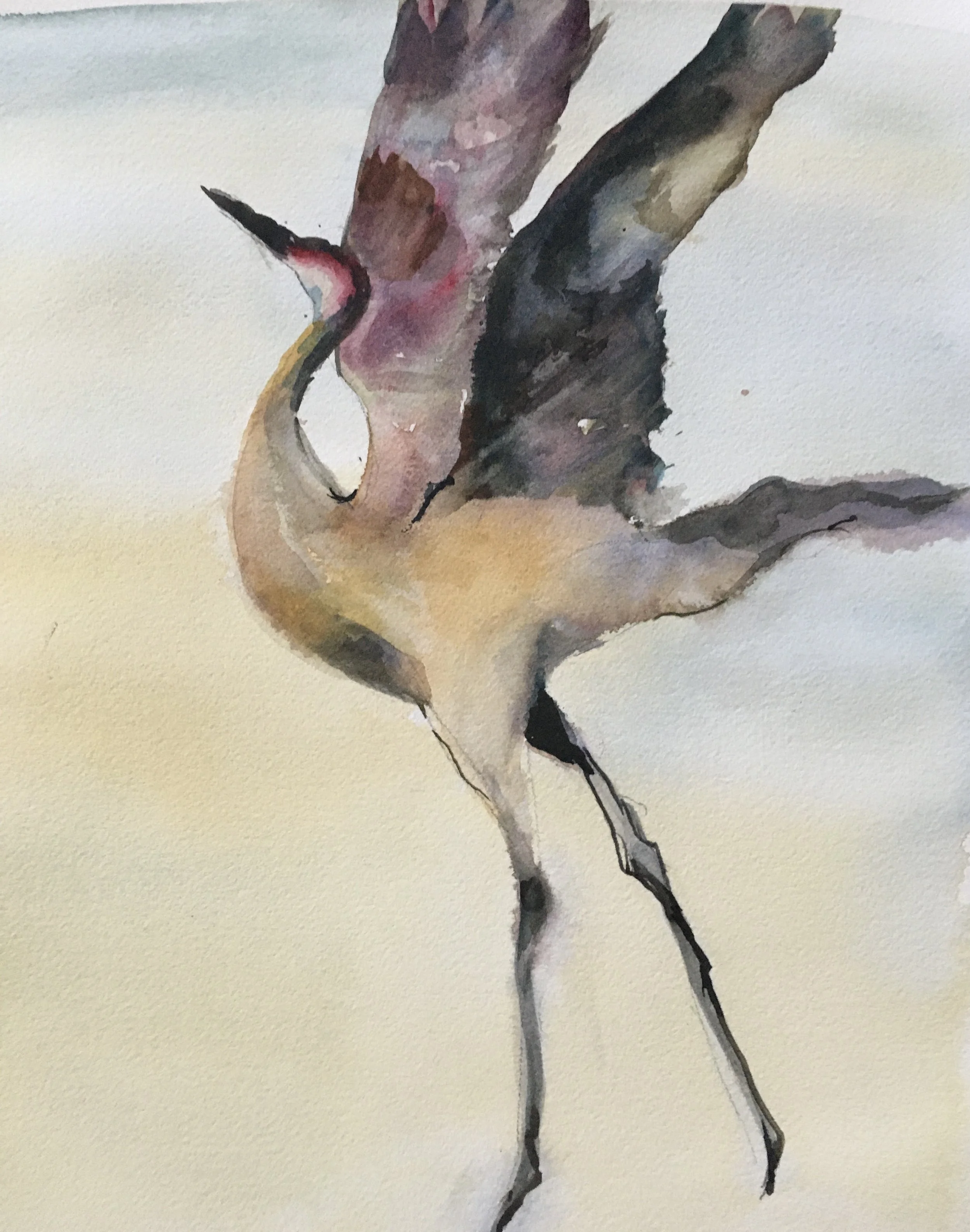 Honorable Mention- Patricia Steiner- Skyward, Watercolor