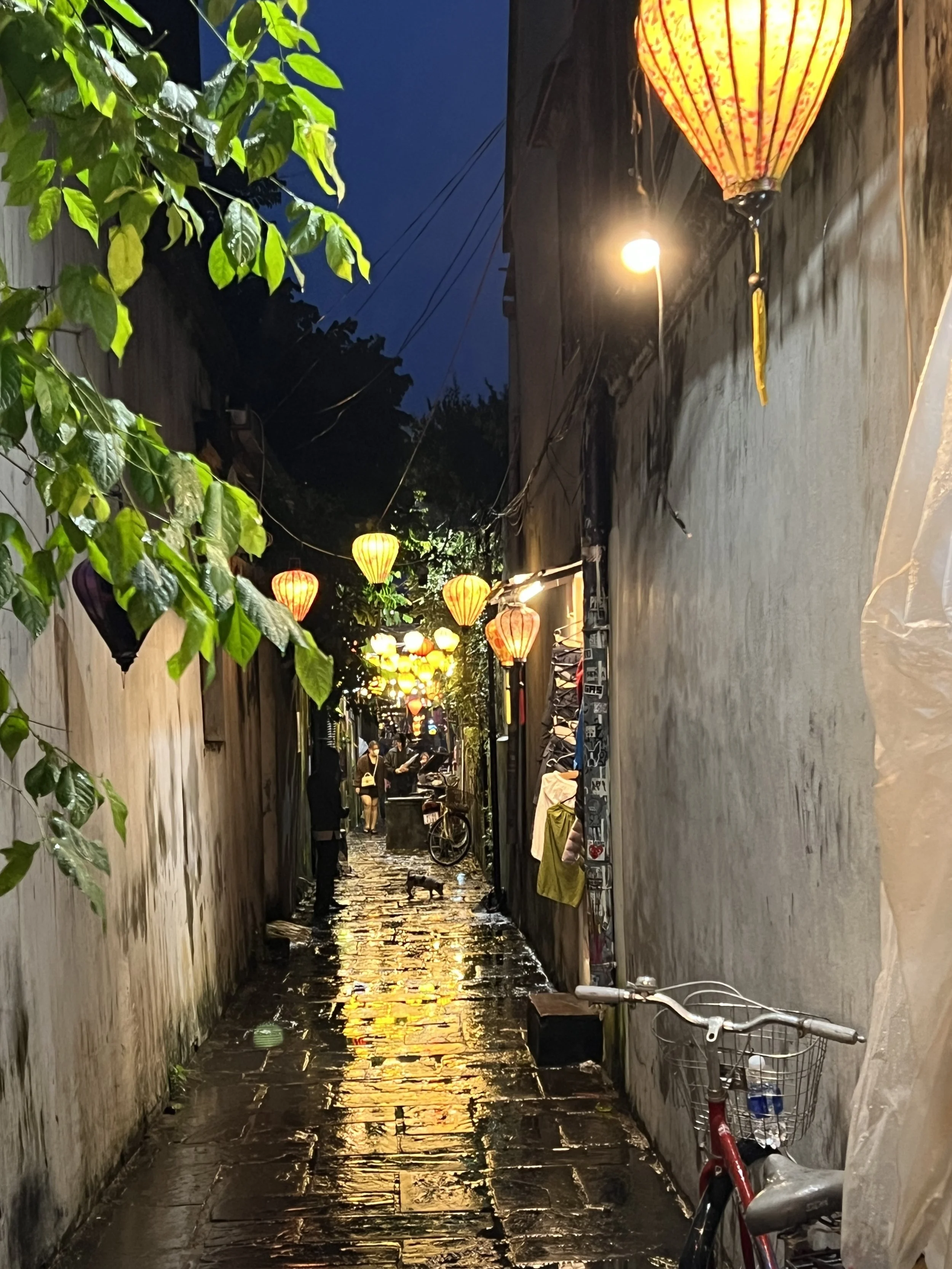Honorable Mention- Betsy Bray- Vietnamese Lanterns, Photography