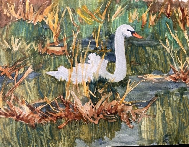 Peg	Flood-	Stop River Swan	watercolor	 $500 	Ann Hart