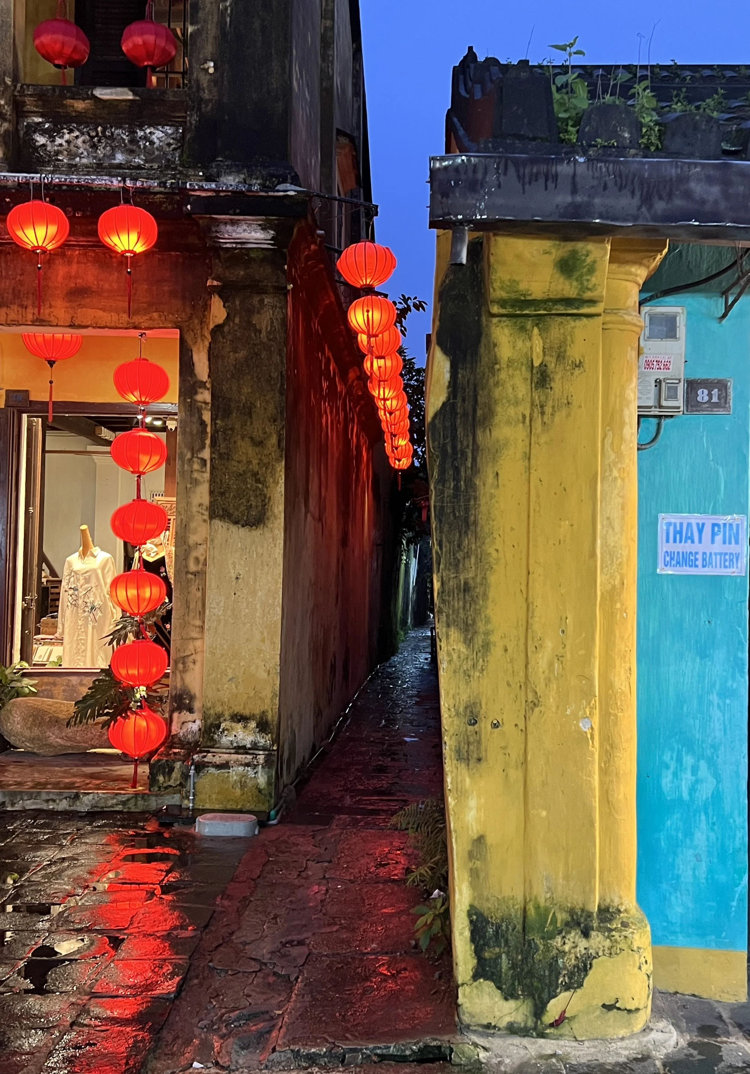 Betsy	Bray-	Vietnamese Lanterns 2	Photography	 $150 	Paul Muratore
