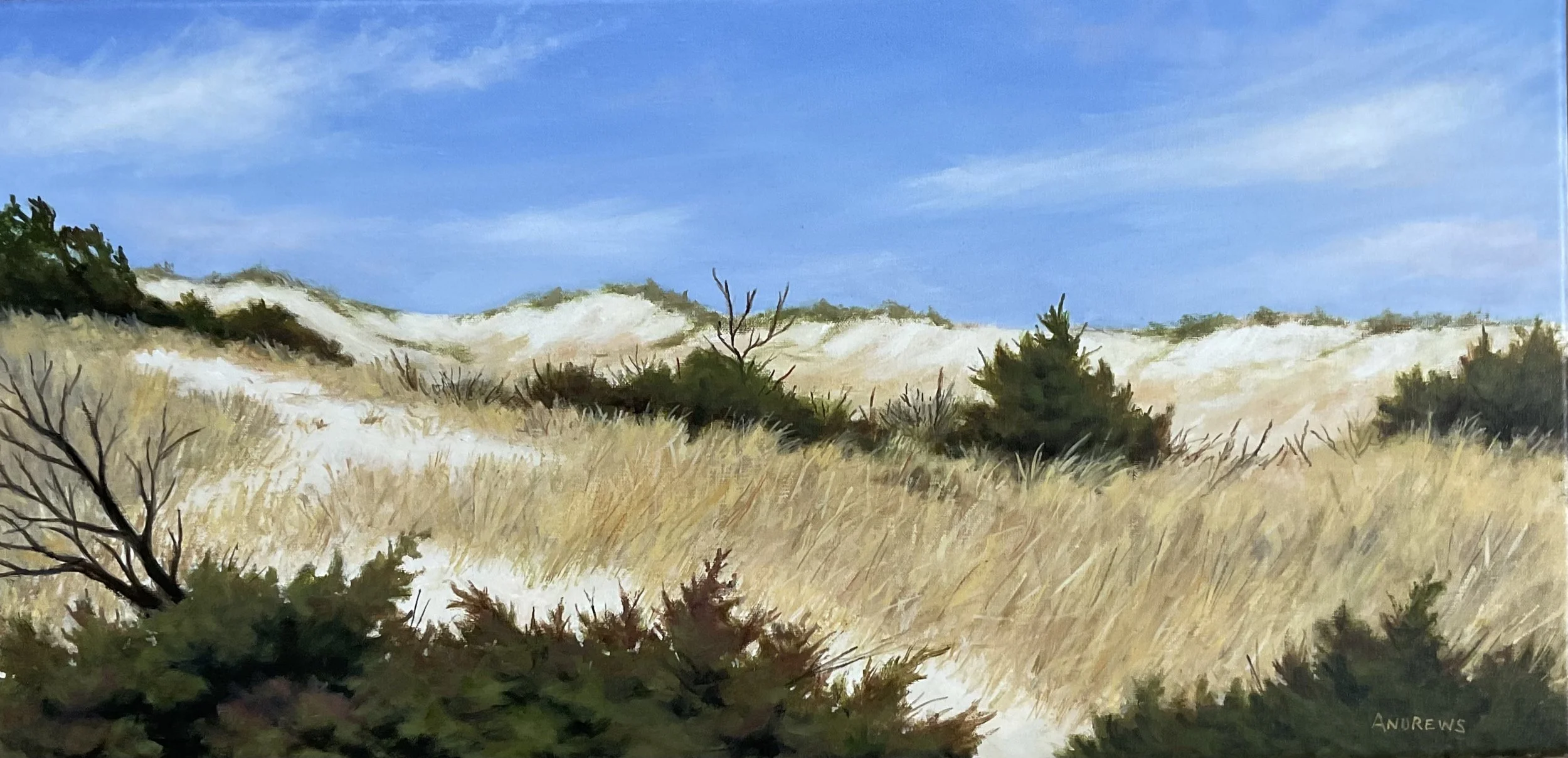 Honorable Mention- David Andrews- In the Dunes on the Cape, Oil