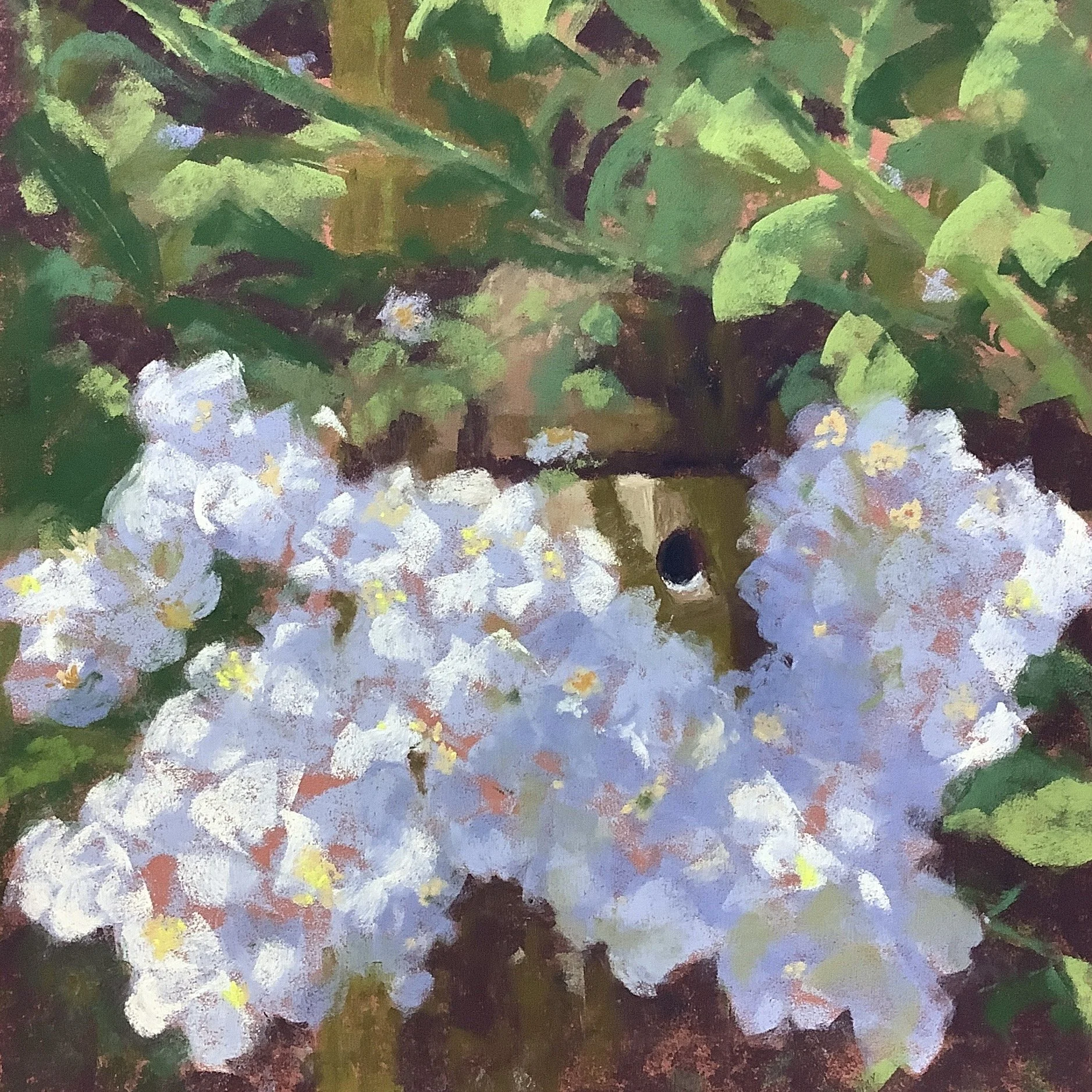 Other First Place- Paula Romano- Anybody Home?