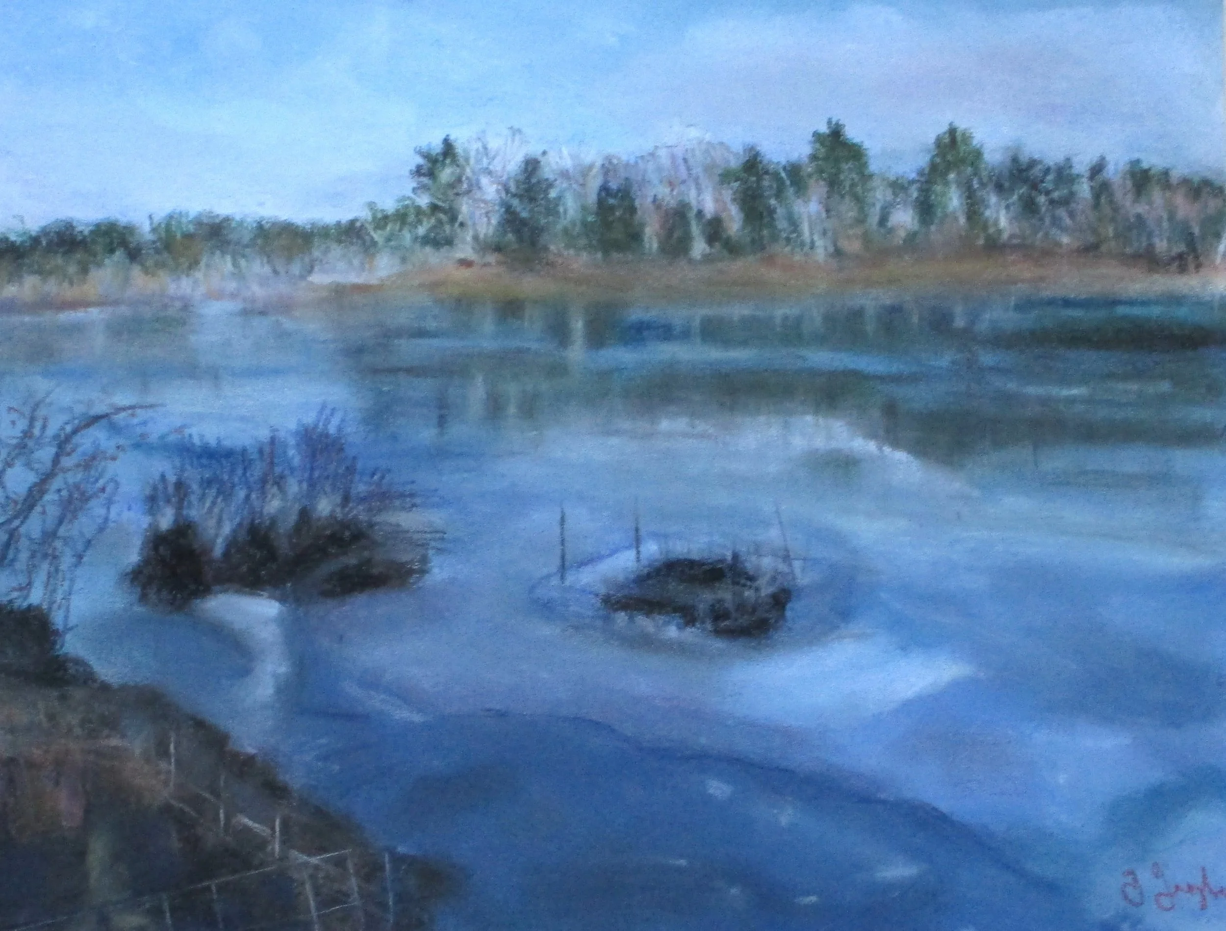 Fishing weir, 2a.JPG