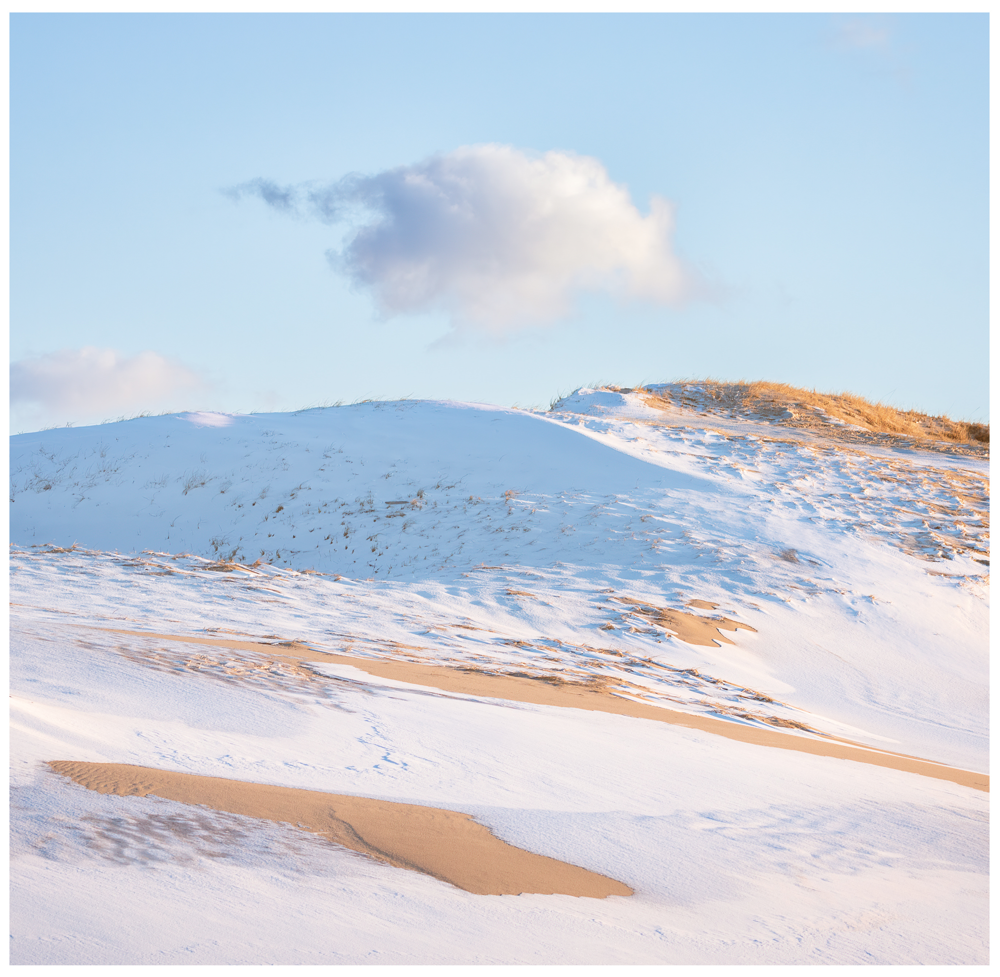 Frosted Dunes_Sangram Kachwaha.png