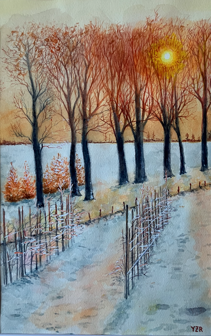 Golden Glow of Winter.png