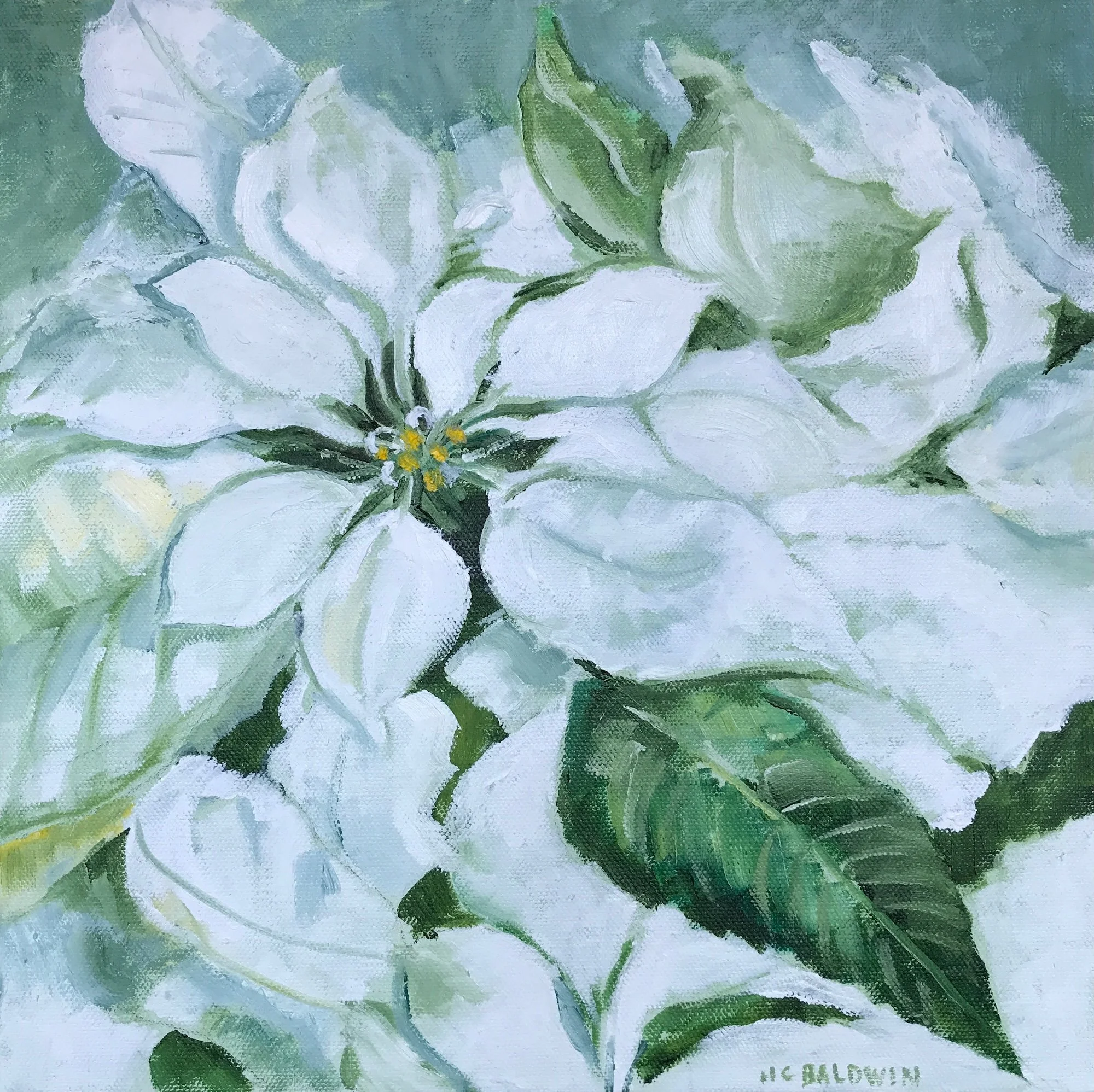 HCBaldwin_Winter Bloom.jpeg