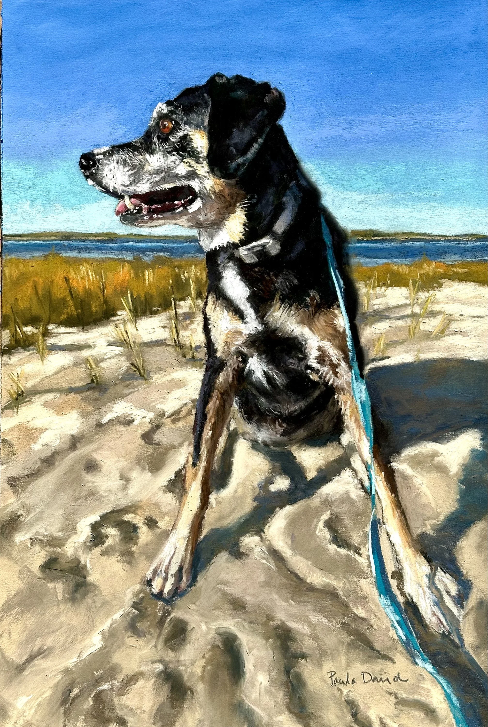 David_SeaDog_Pastel_12x18_$850_HR.jpg