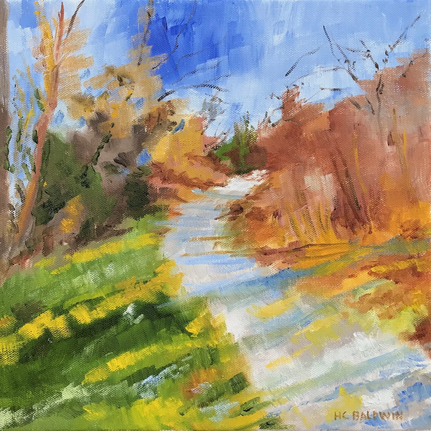 HC Baldwin_Skaket Path_2254.jpg