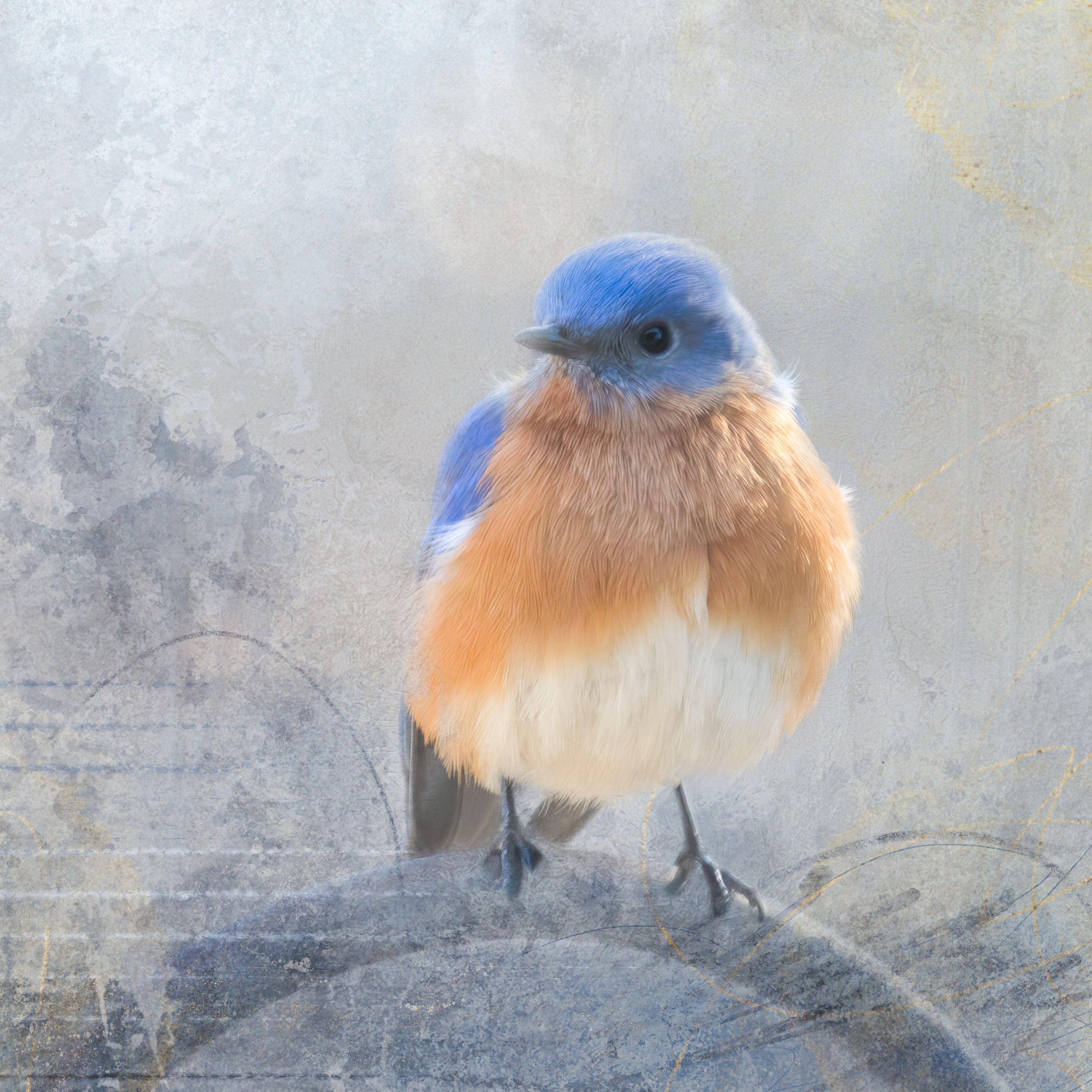Harbinger of Spring_.jpg