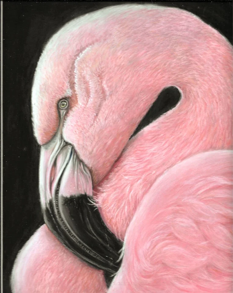 Pink-Flamingo-web.jpg