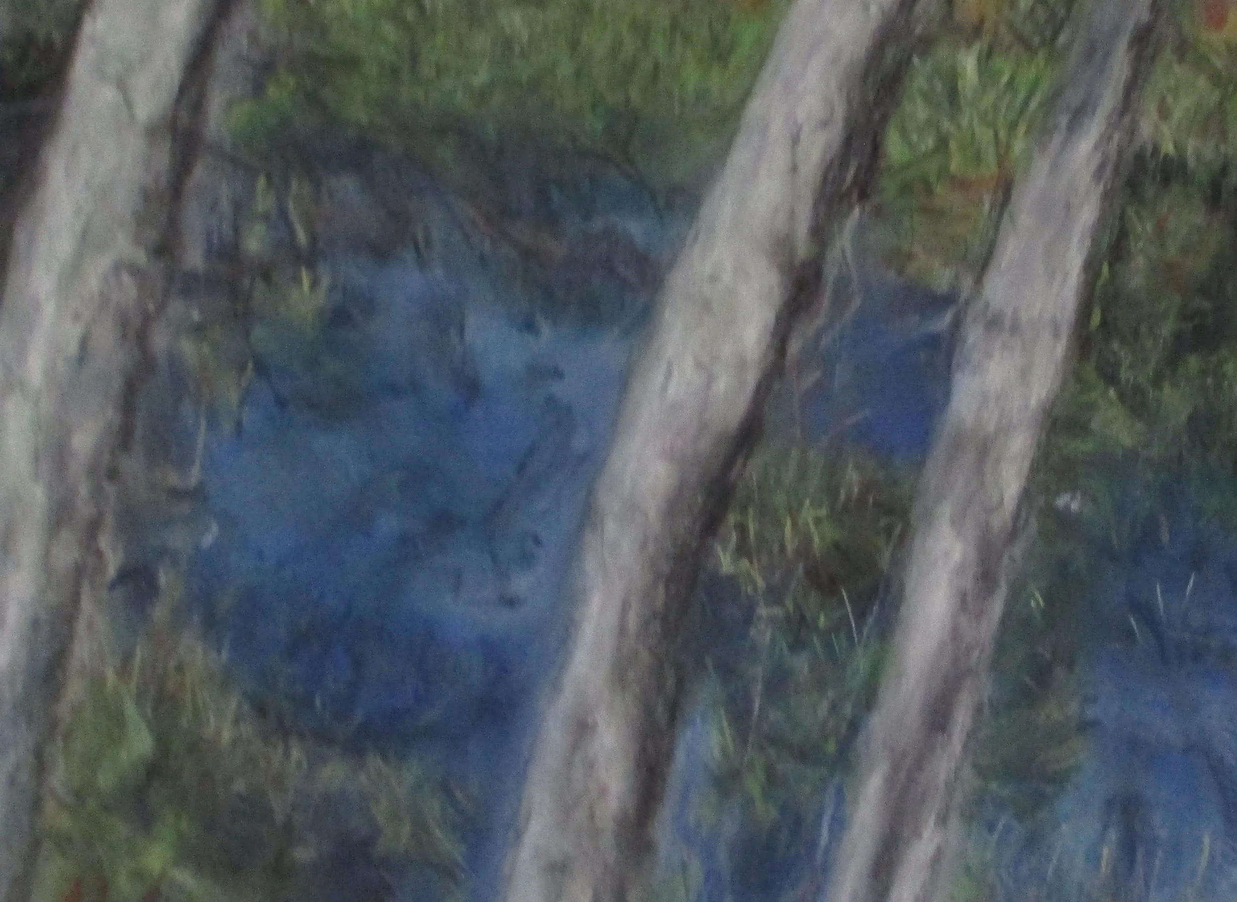 Three Trunks. 2.22.25...5.JPG