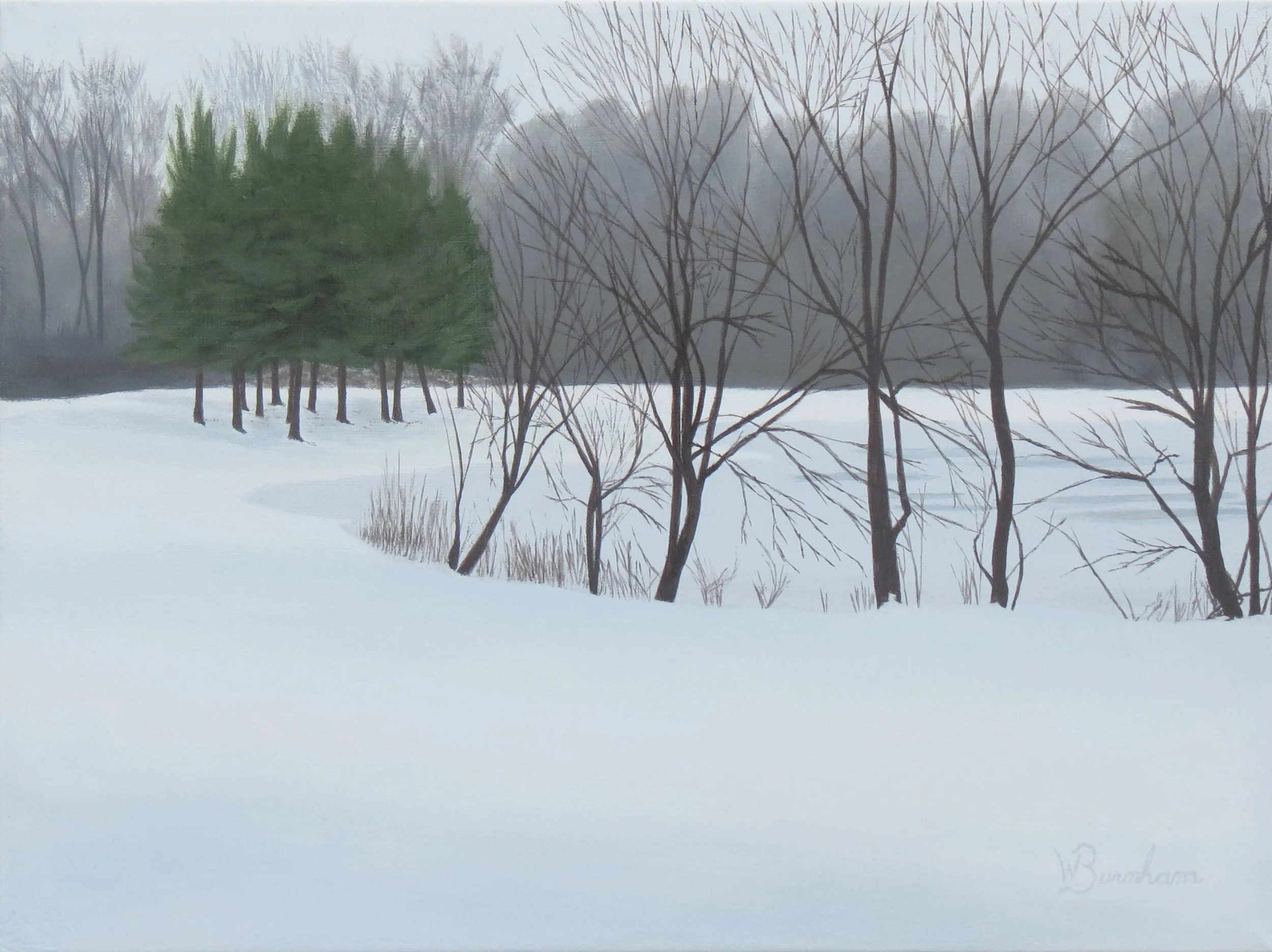 Winter Tranquility.jpg