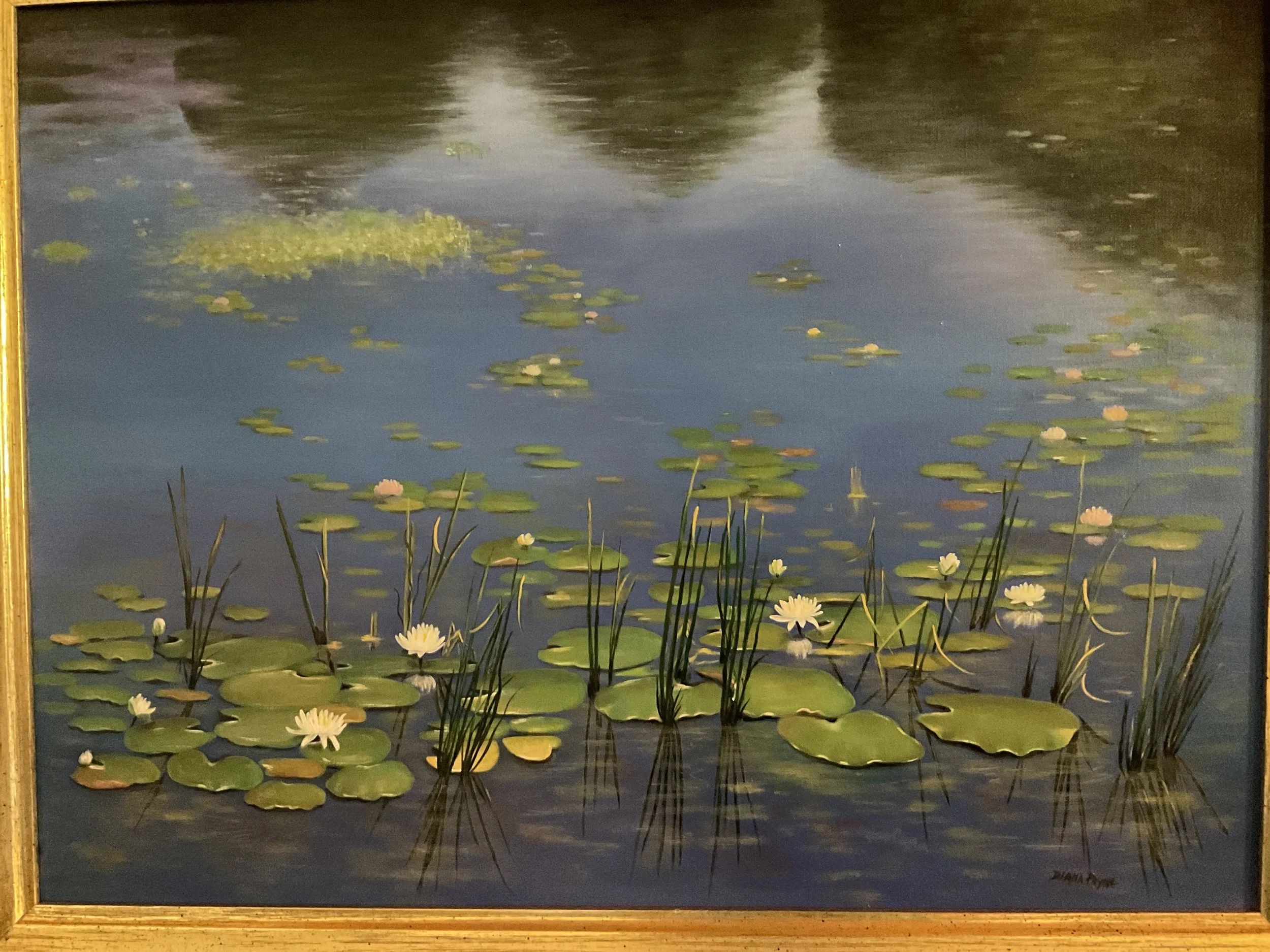 image_5576.jpg